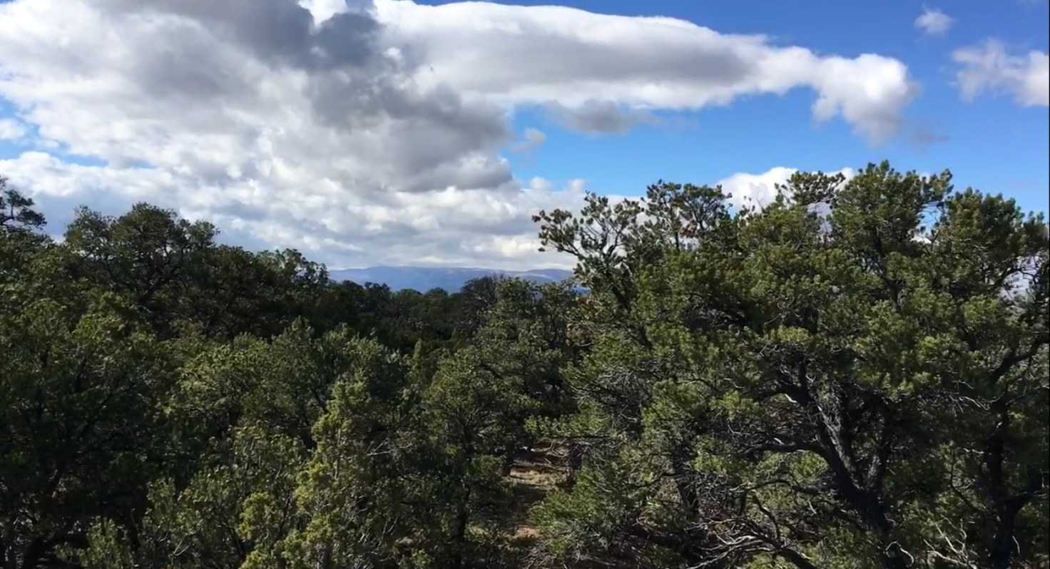 Hope Acres Glampground