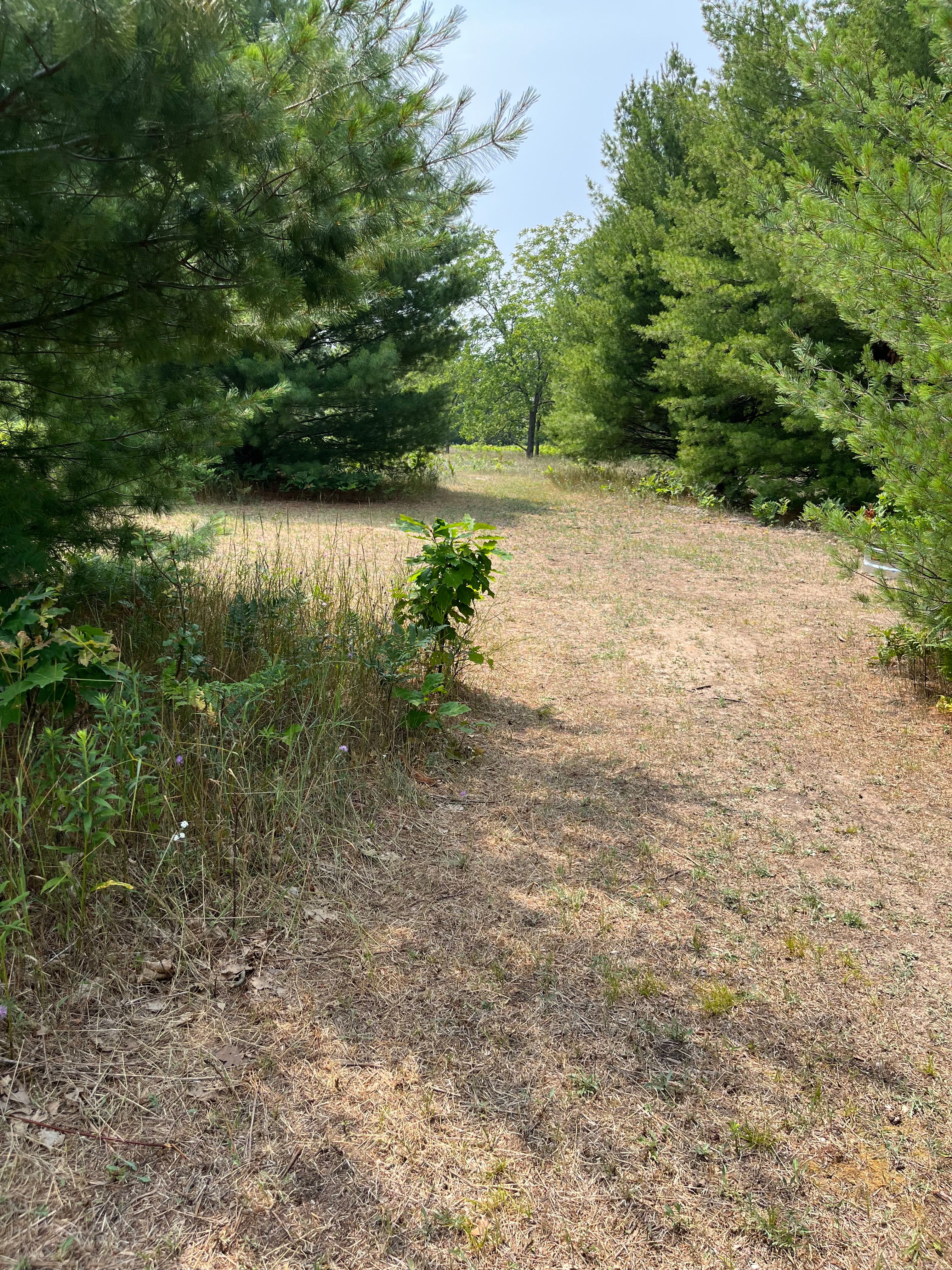 Gypsy Hill