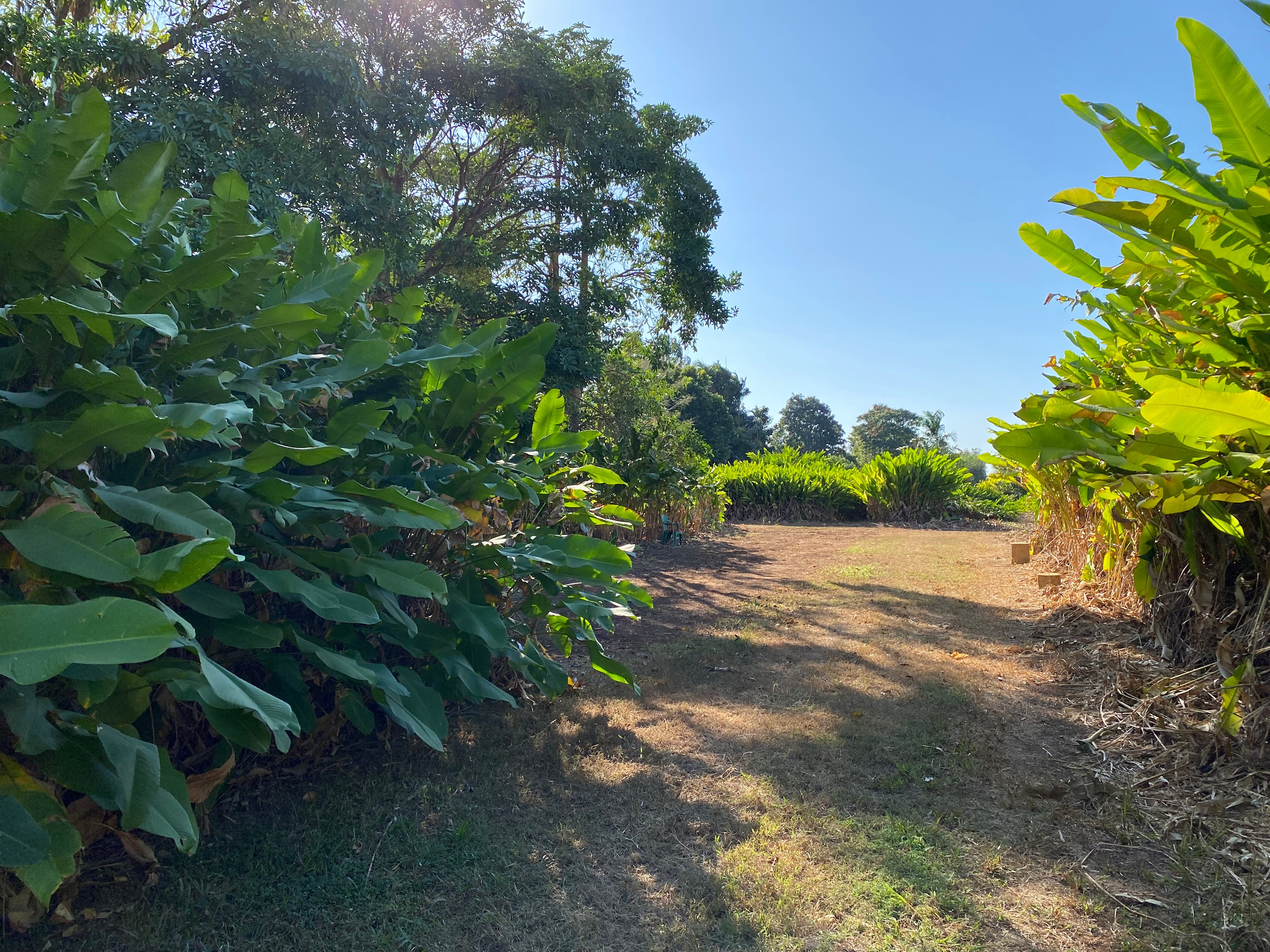 The Flower Farm