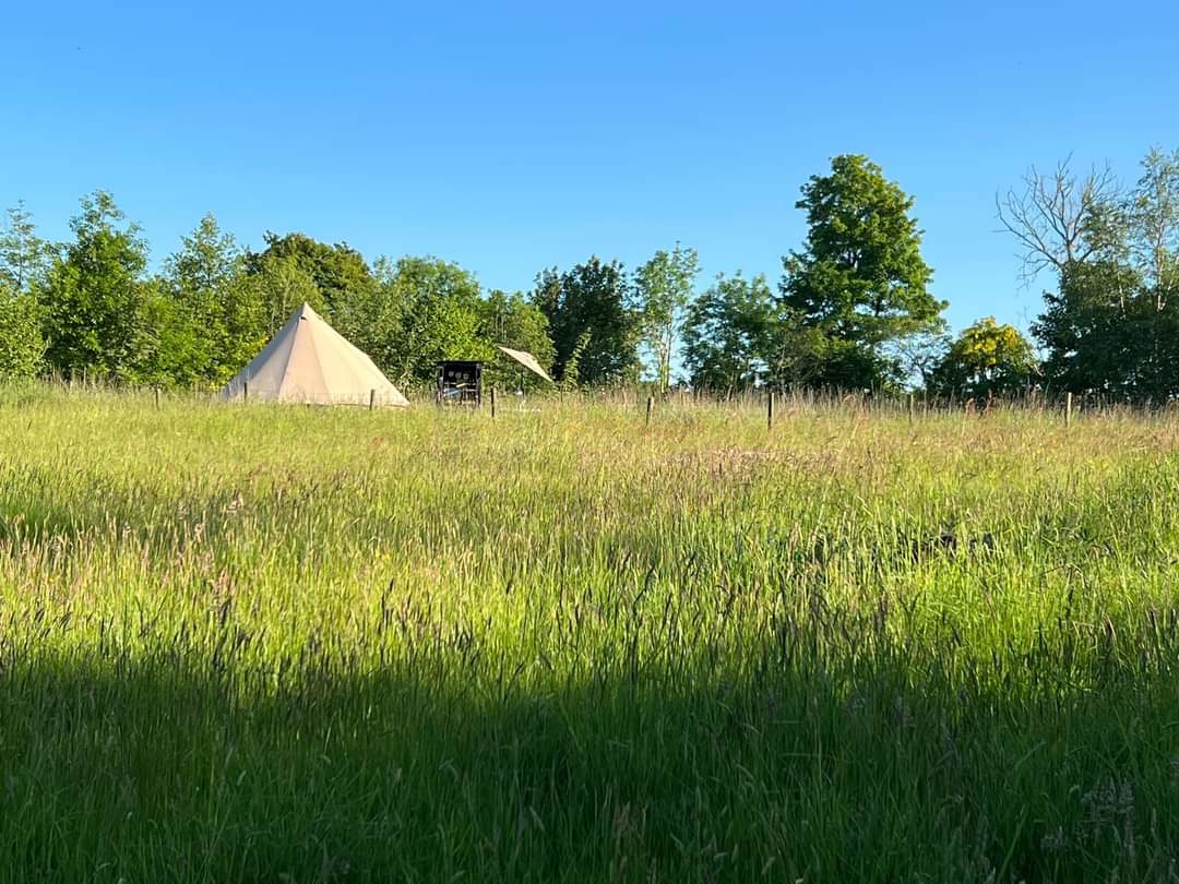 Ffynnonwen Off-Grid Camping