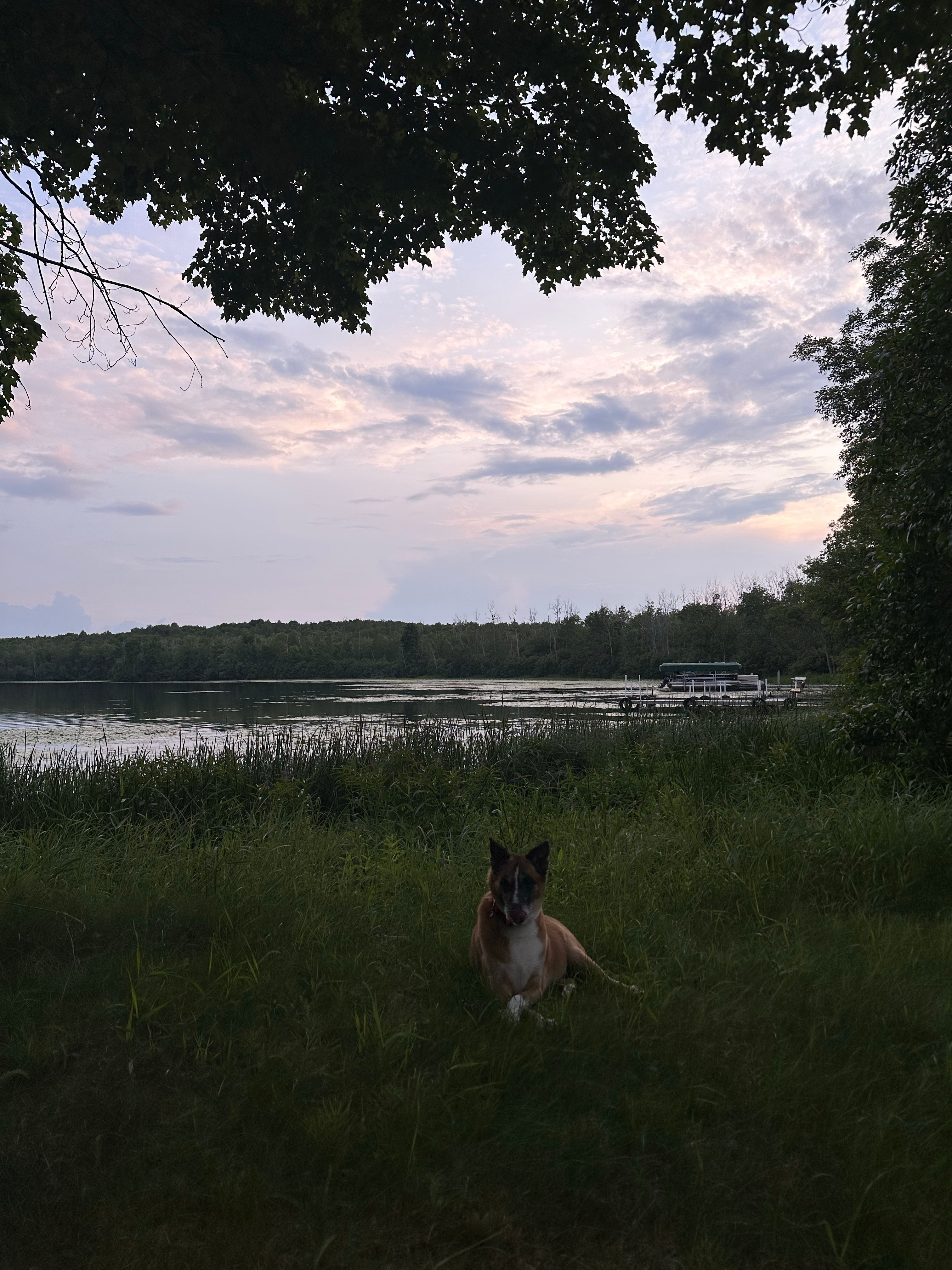 Butternut Lake Camping