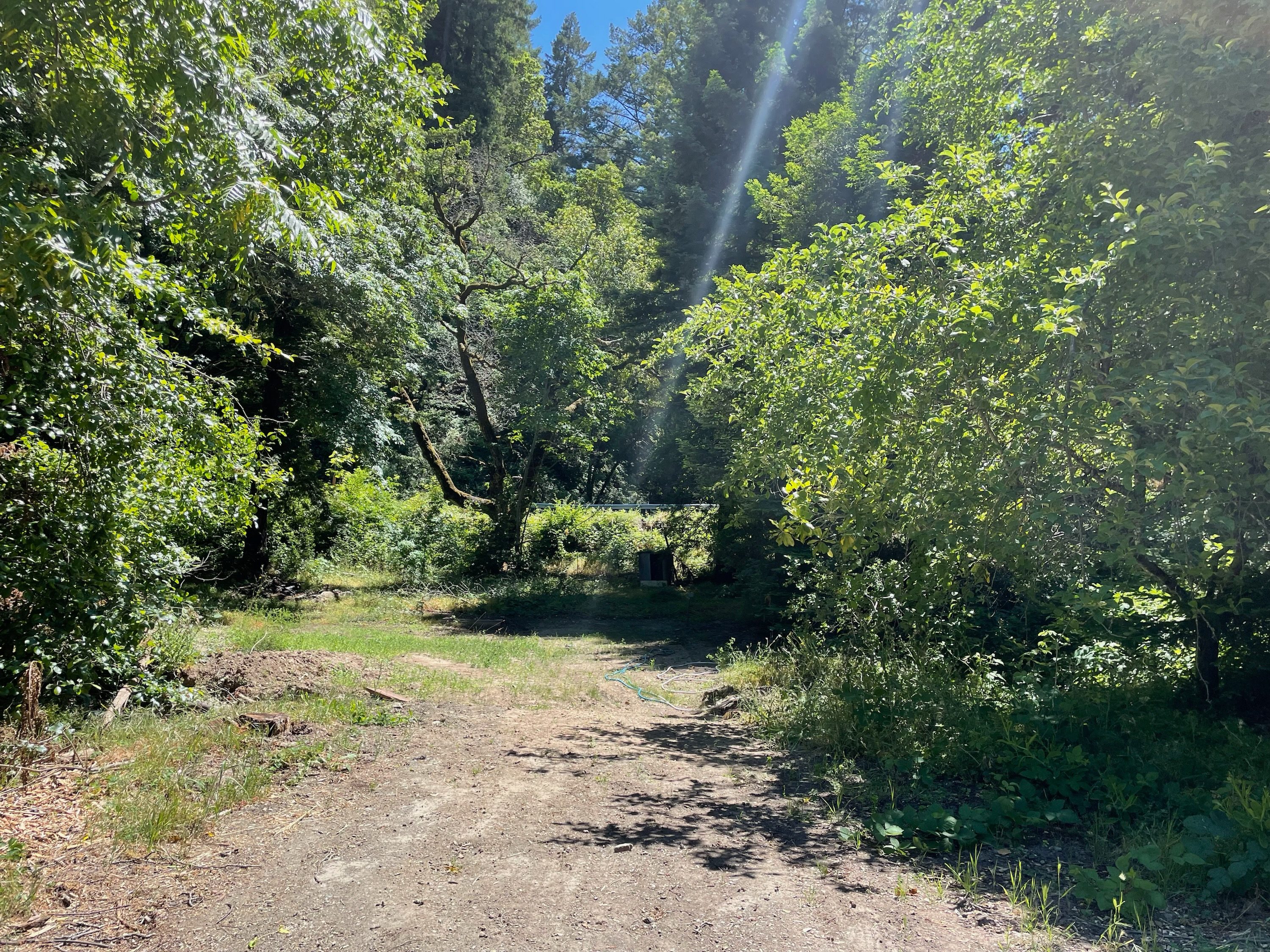 Redwood Meadows