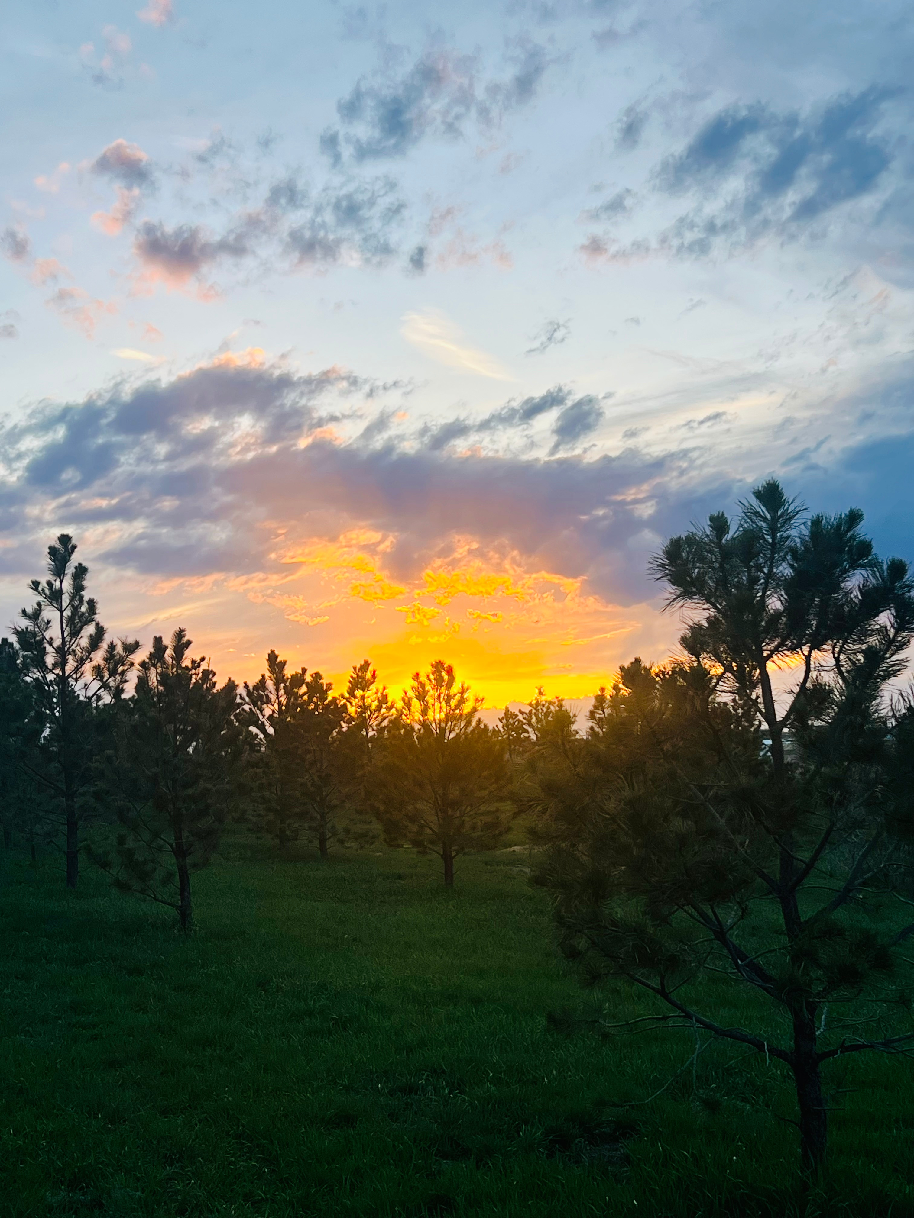Railroad Campgrounds