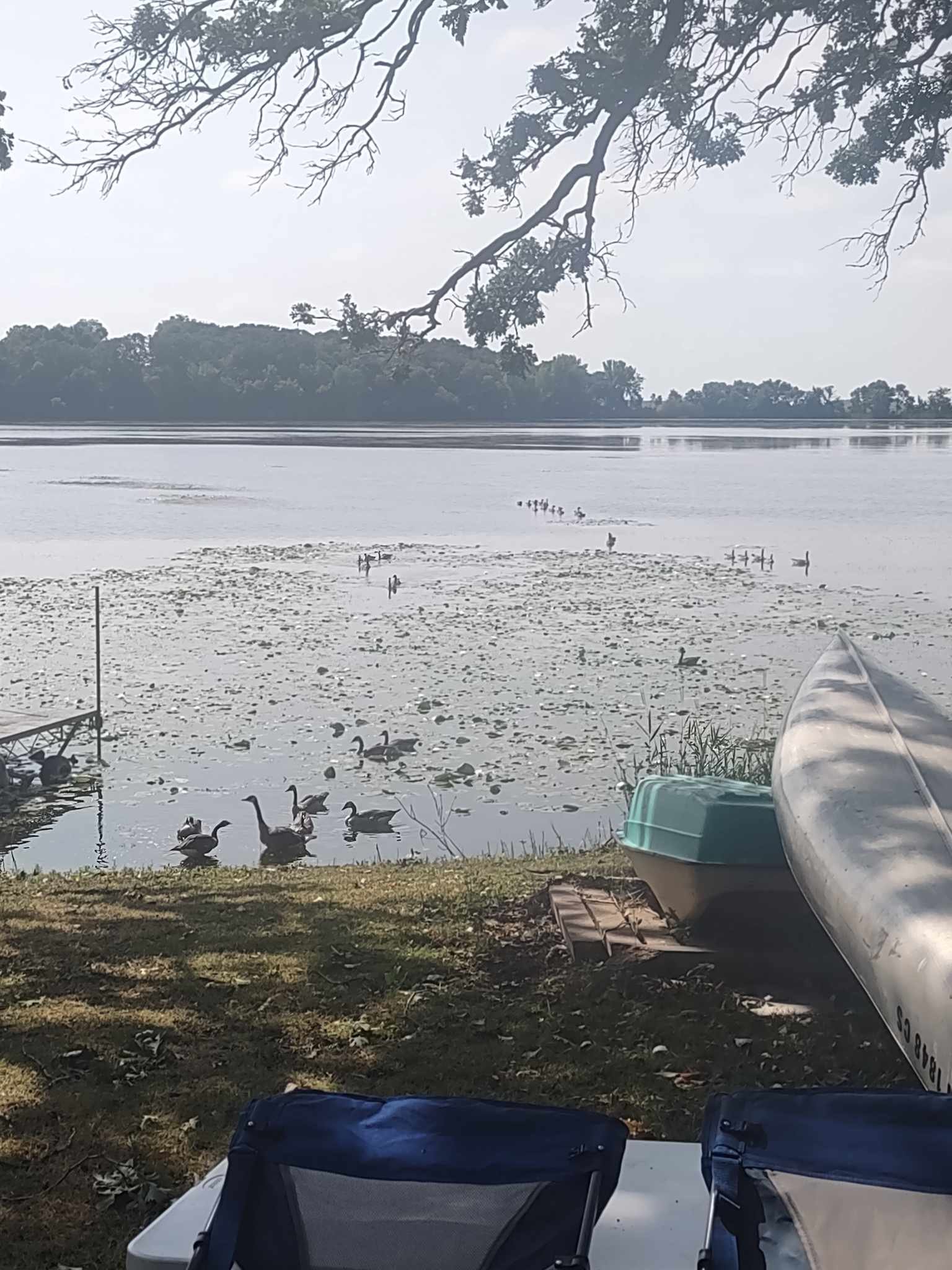 Lake front site