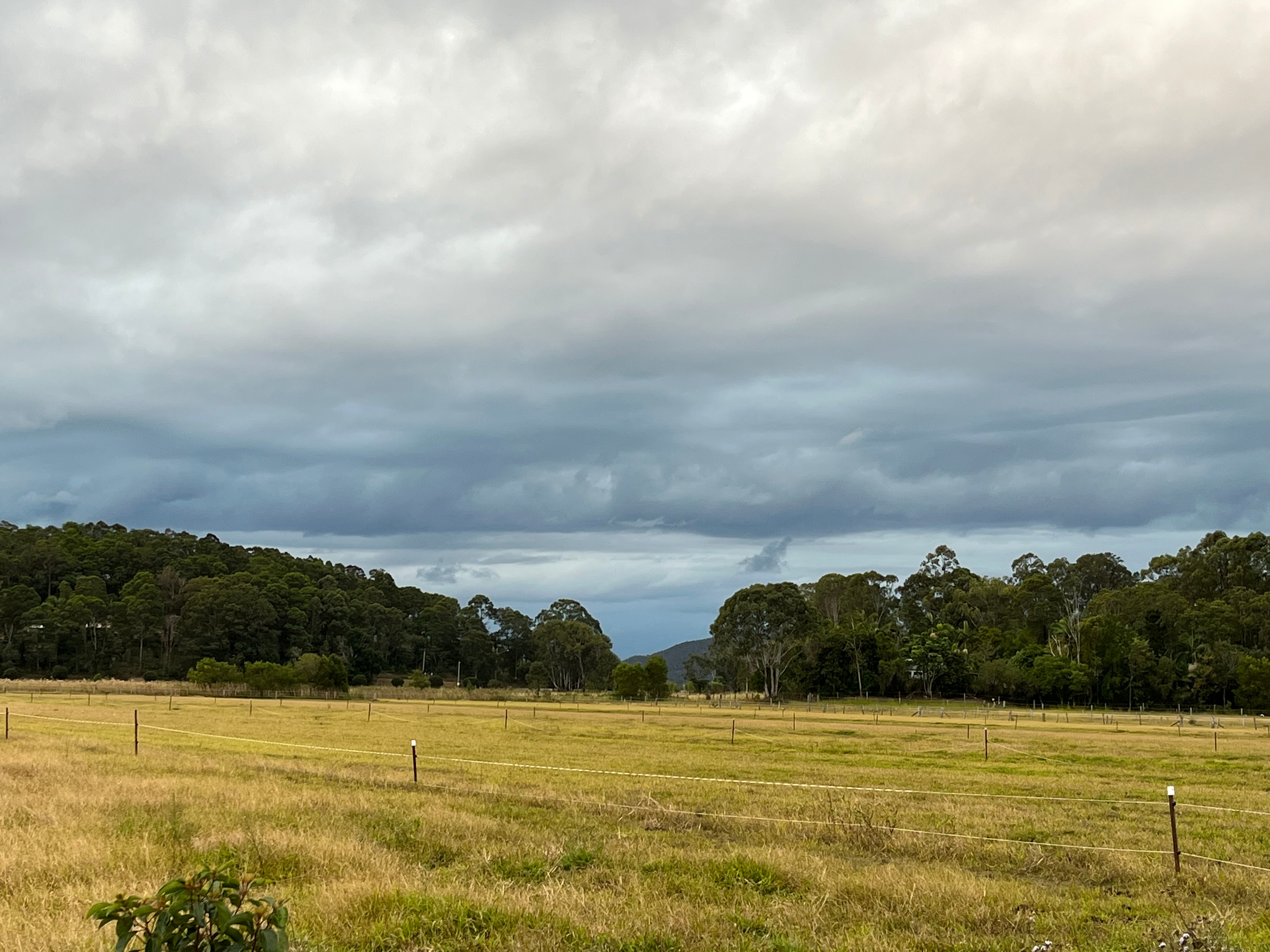 View of Mount Coolum