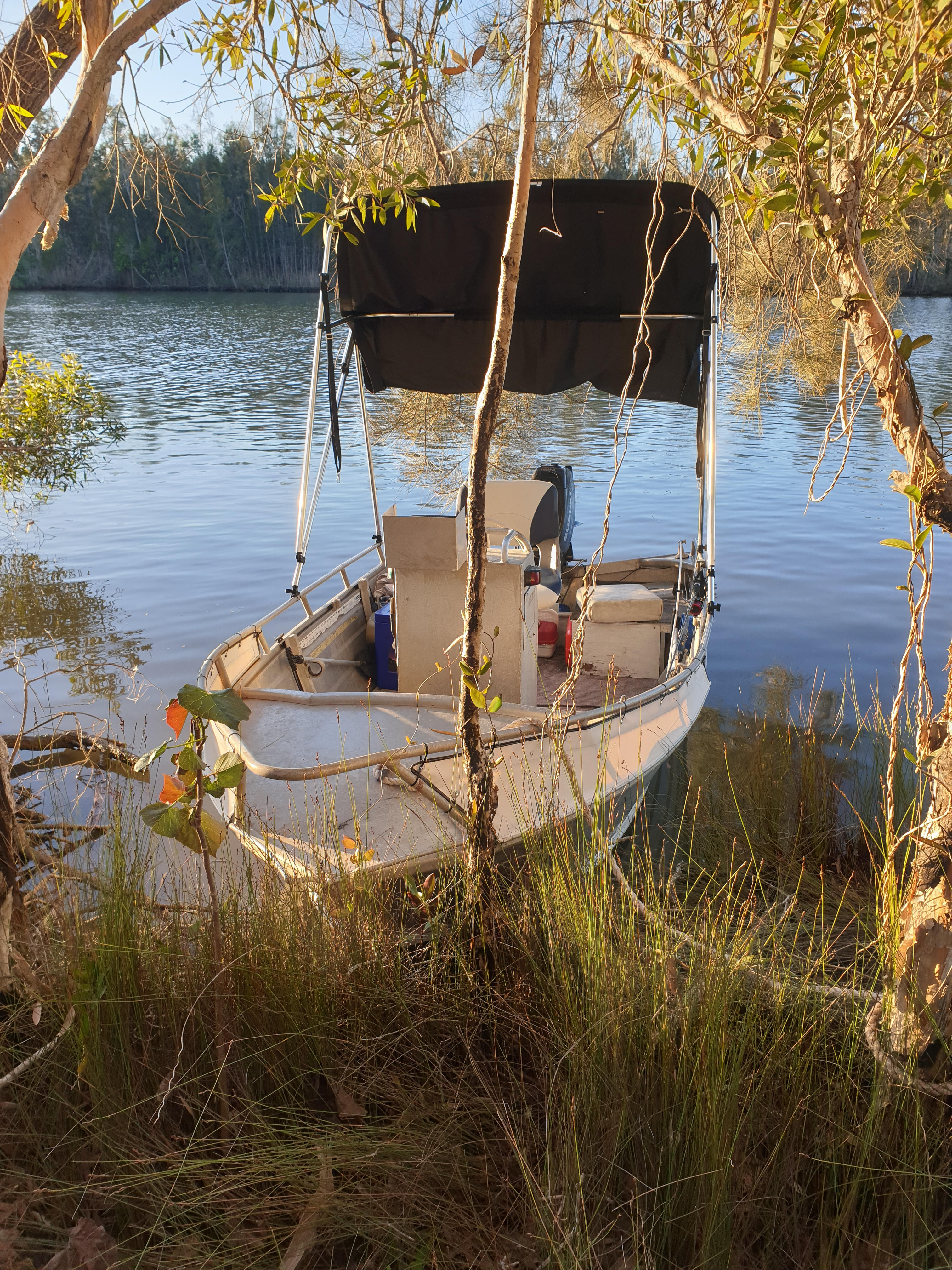 Noosa River Camping at Cooroibah