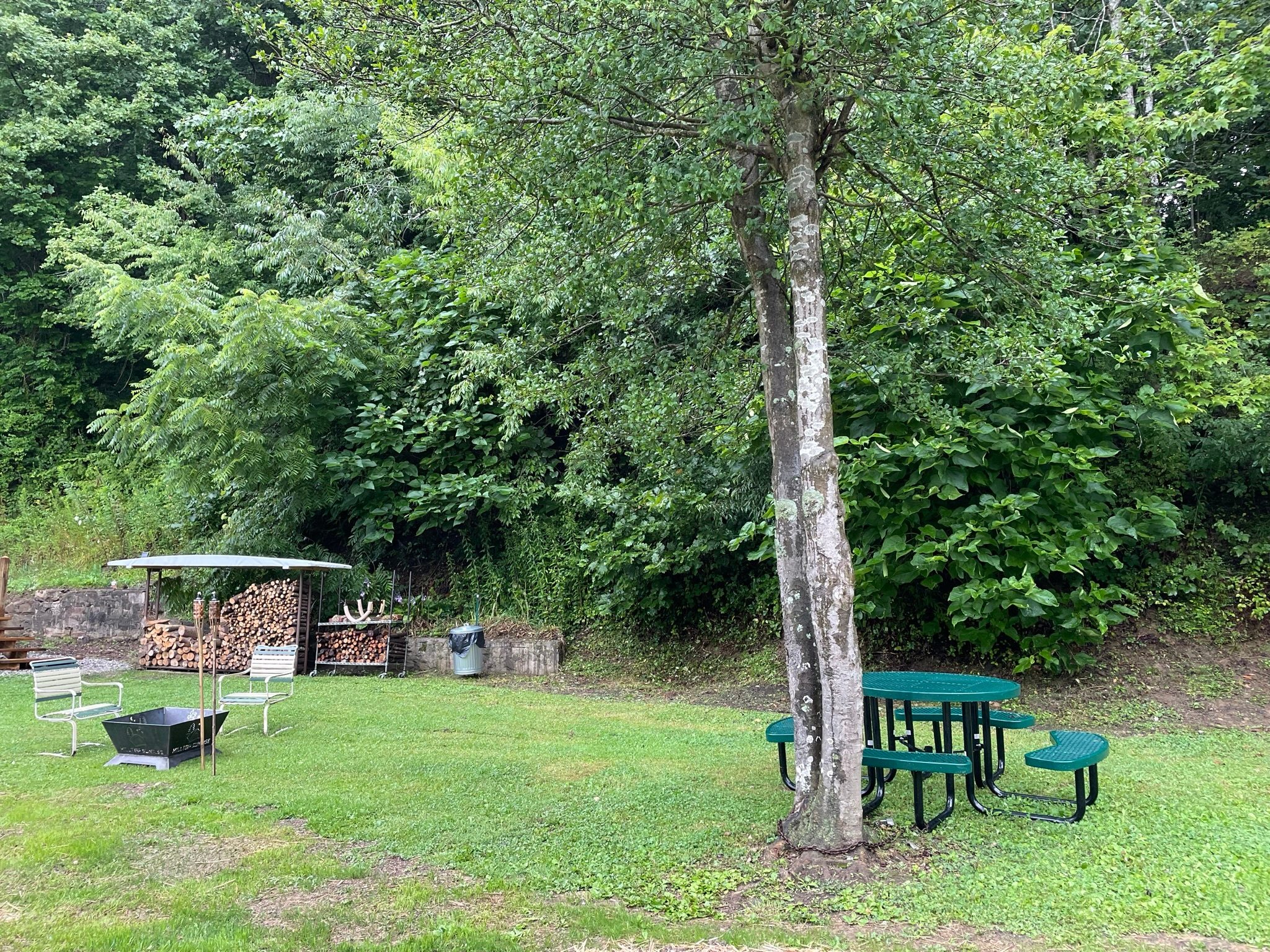Comfortable grassy courtyard with picnic table and fire pit