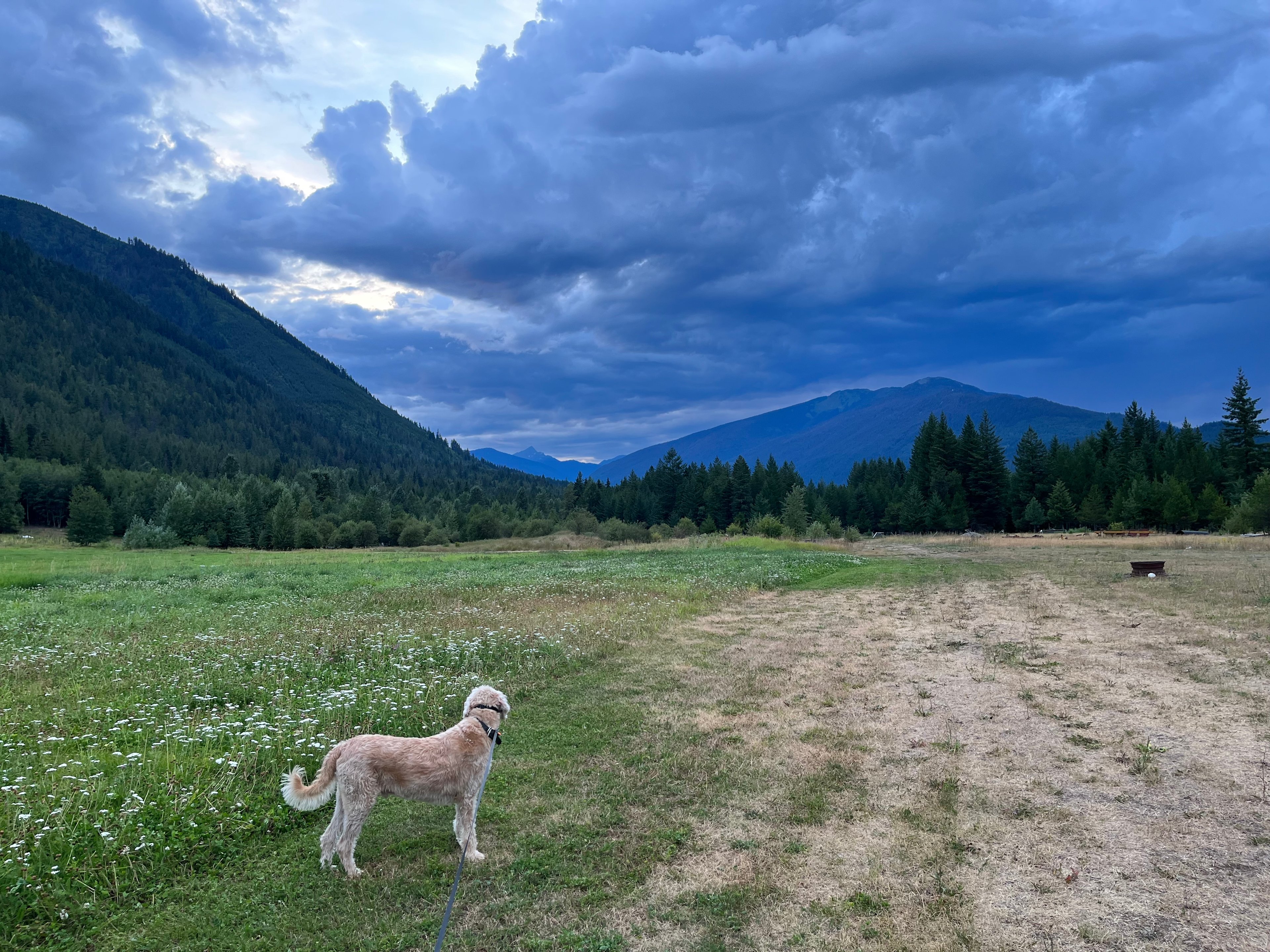 Washtock Family Campground