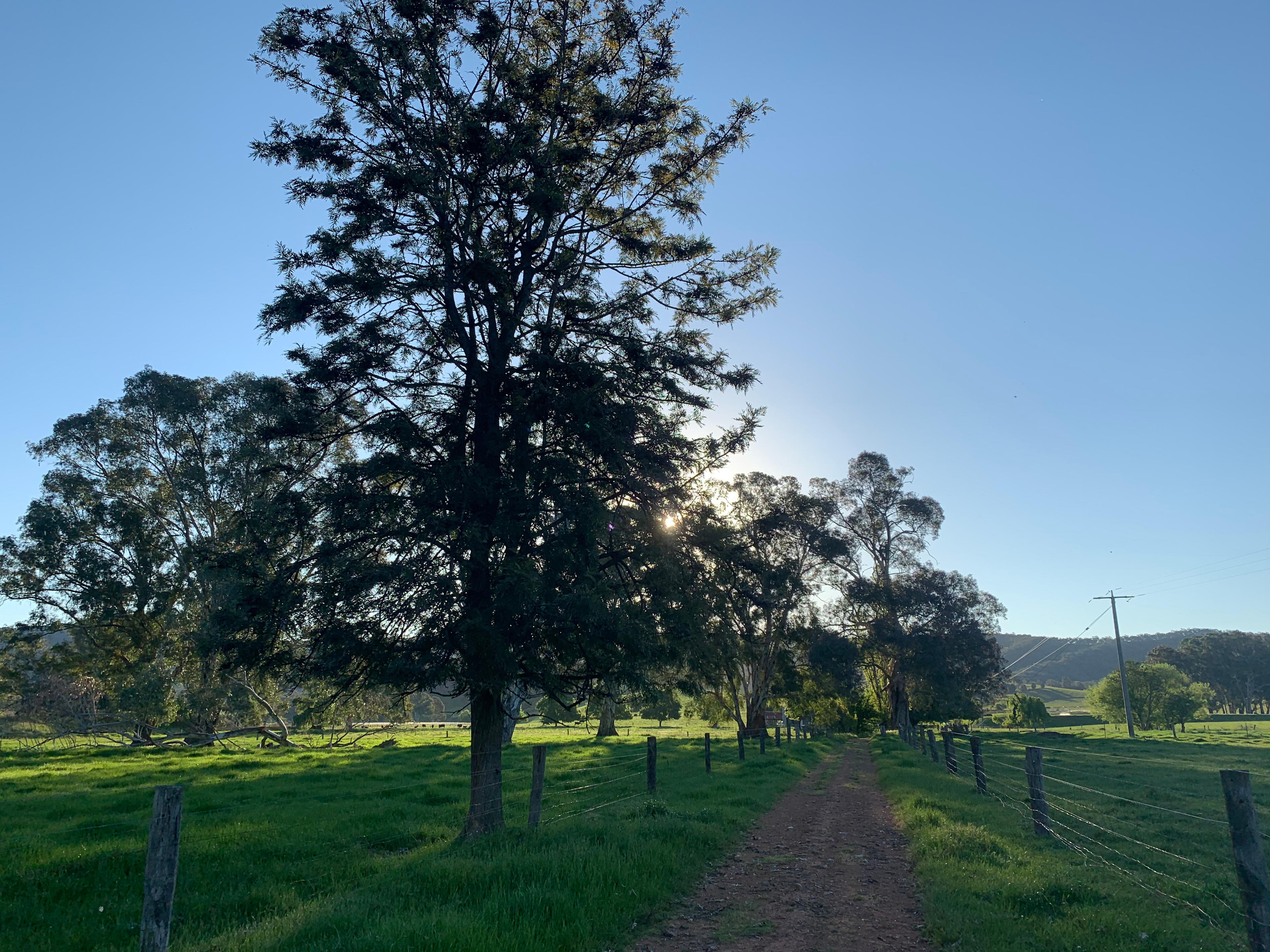 Looking up towards the campsite 