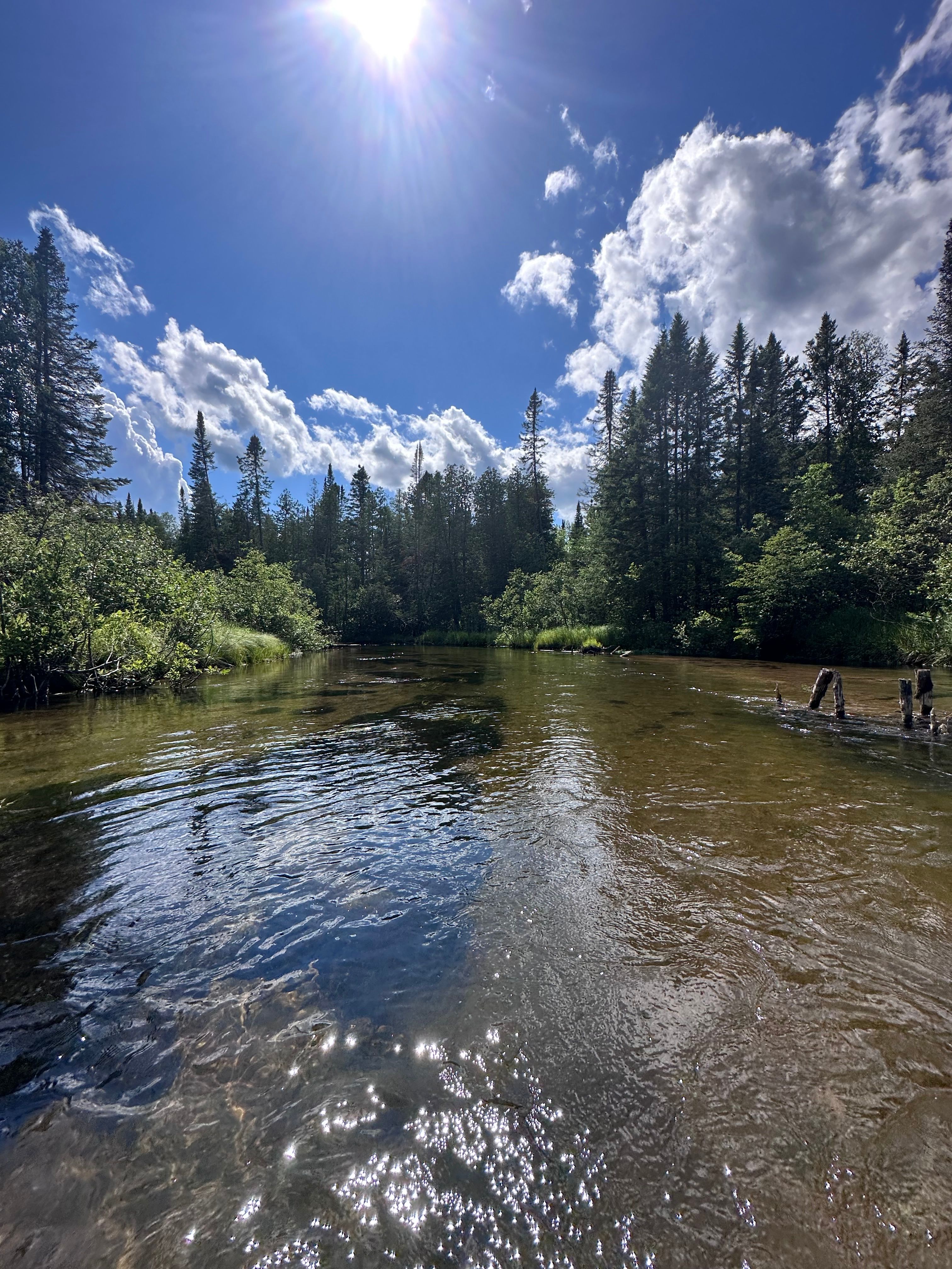 Waterfront RV / Camper Property