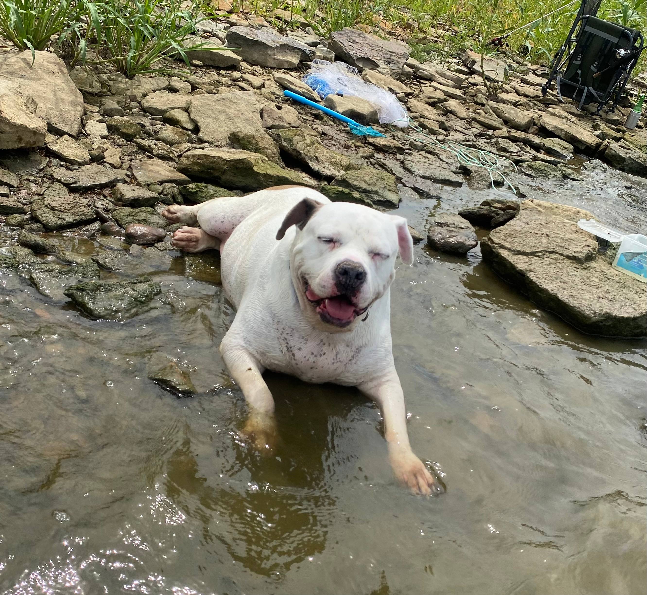 The Point at Lake Red Rock