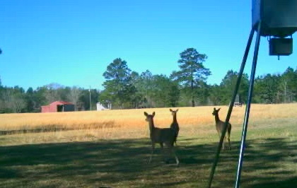 Cashrock Farm and RV