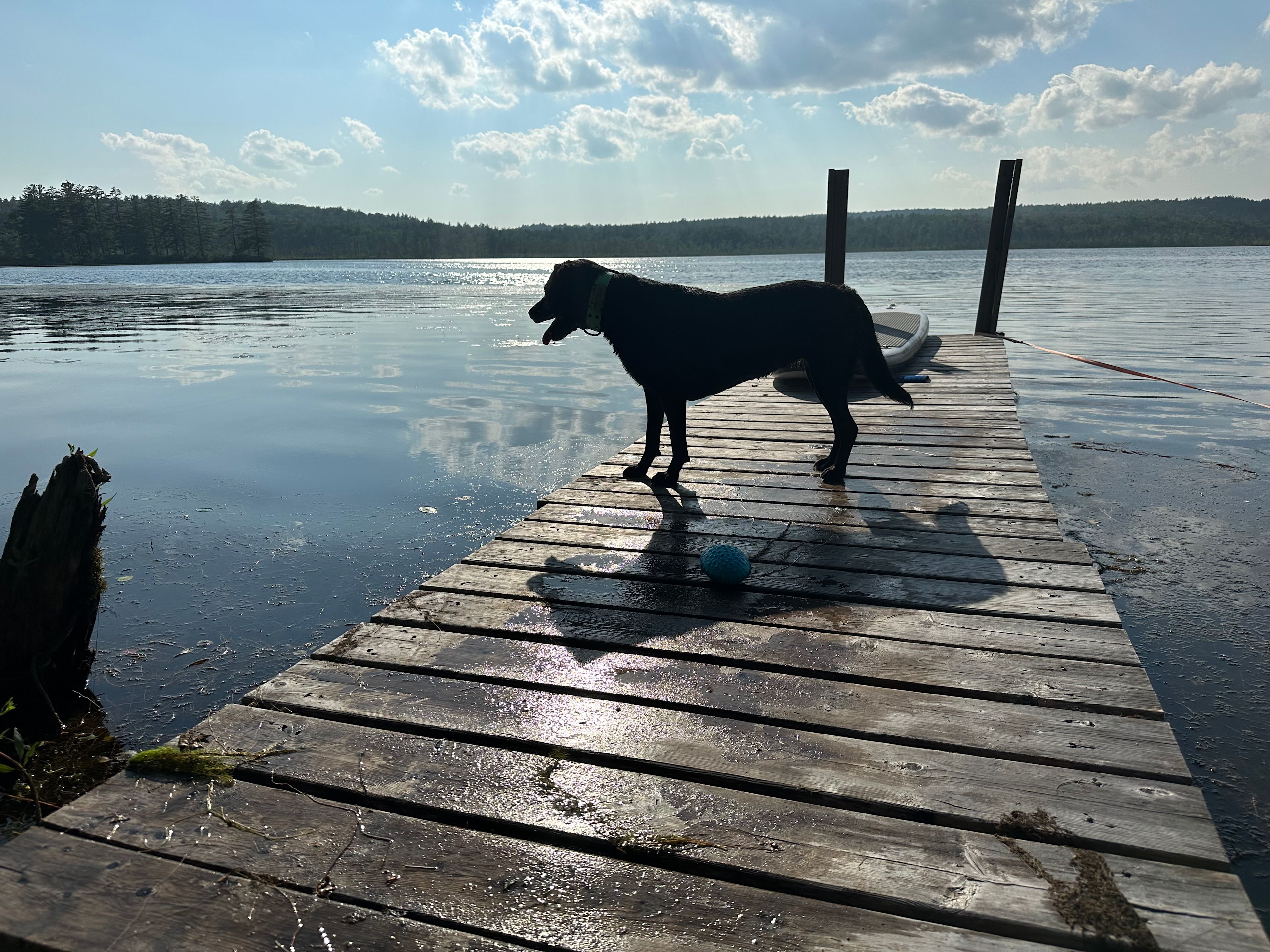 Sip Pond Lakefront Cottage