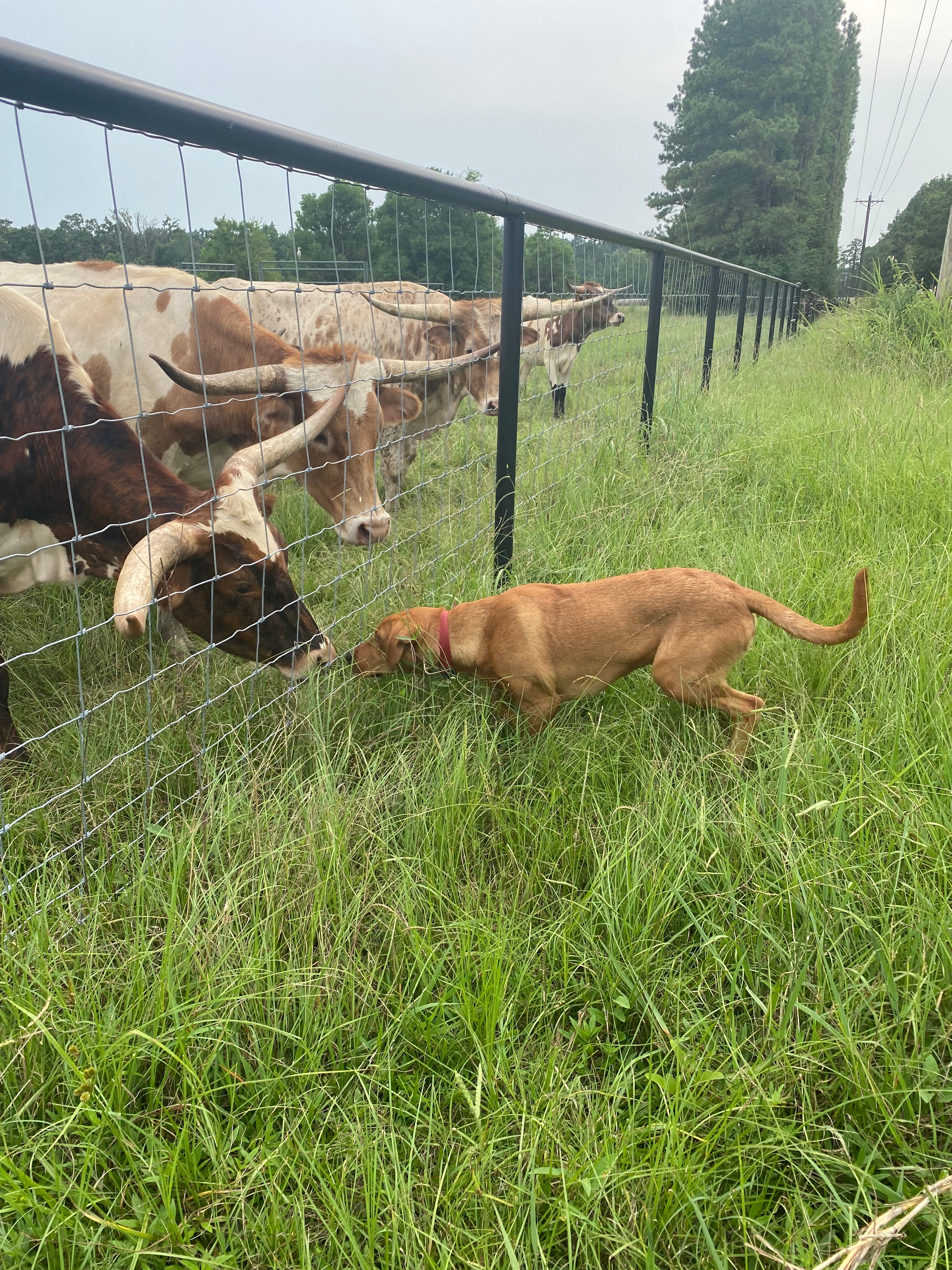 Cashrock Farm and RV