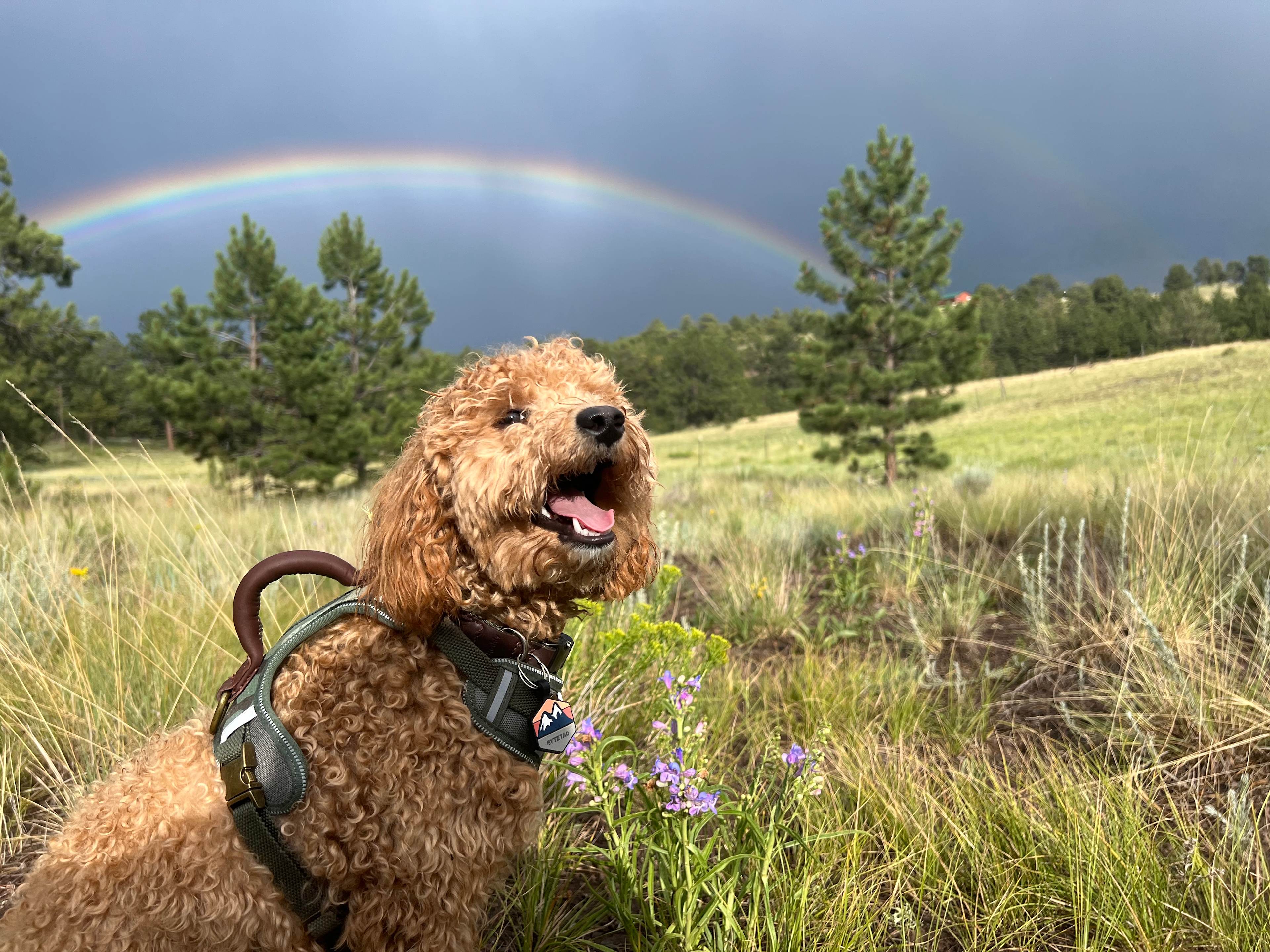 Casitas Amigas at K-Bar Ranch