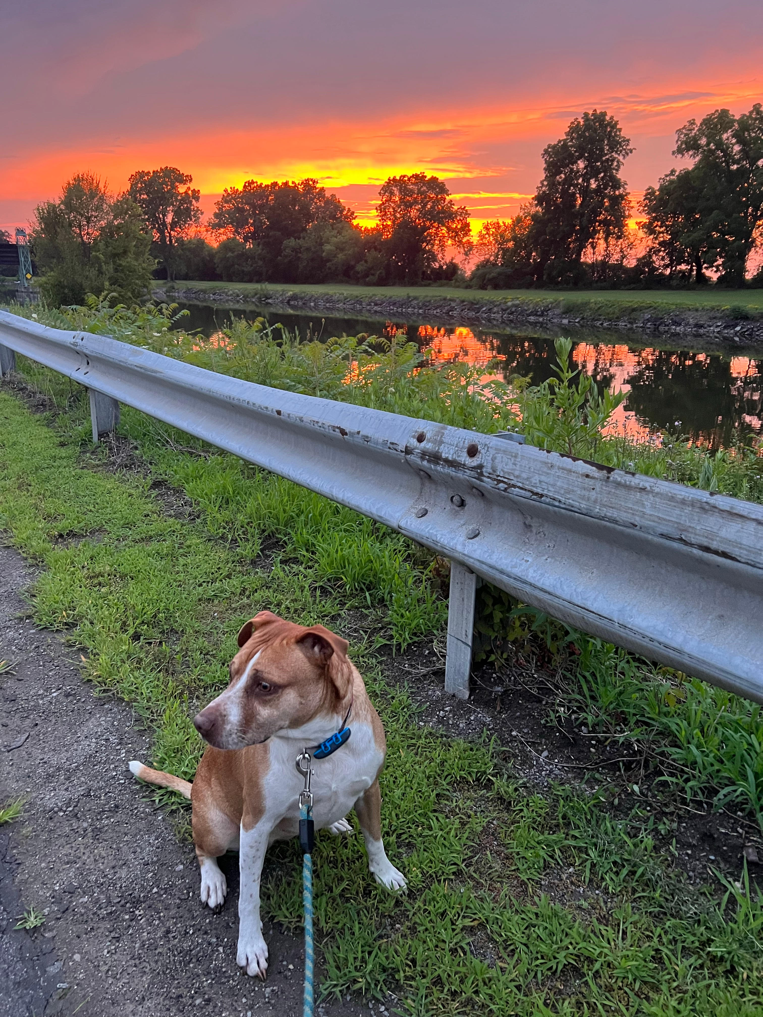 Tomtuga on the Erie Canal
