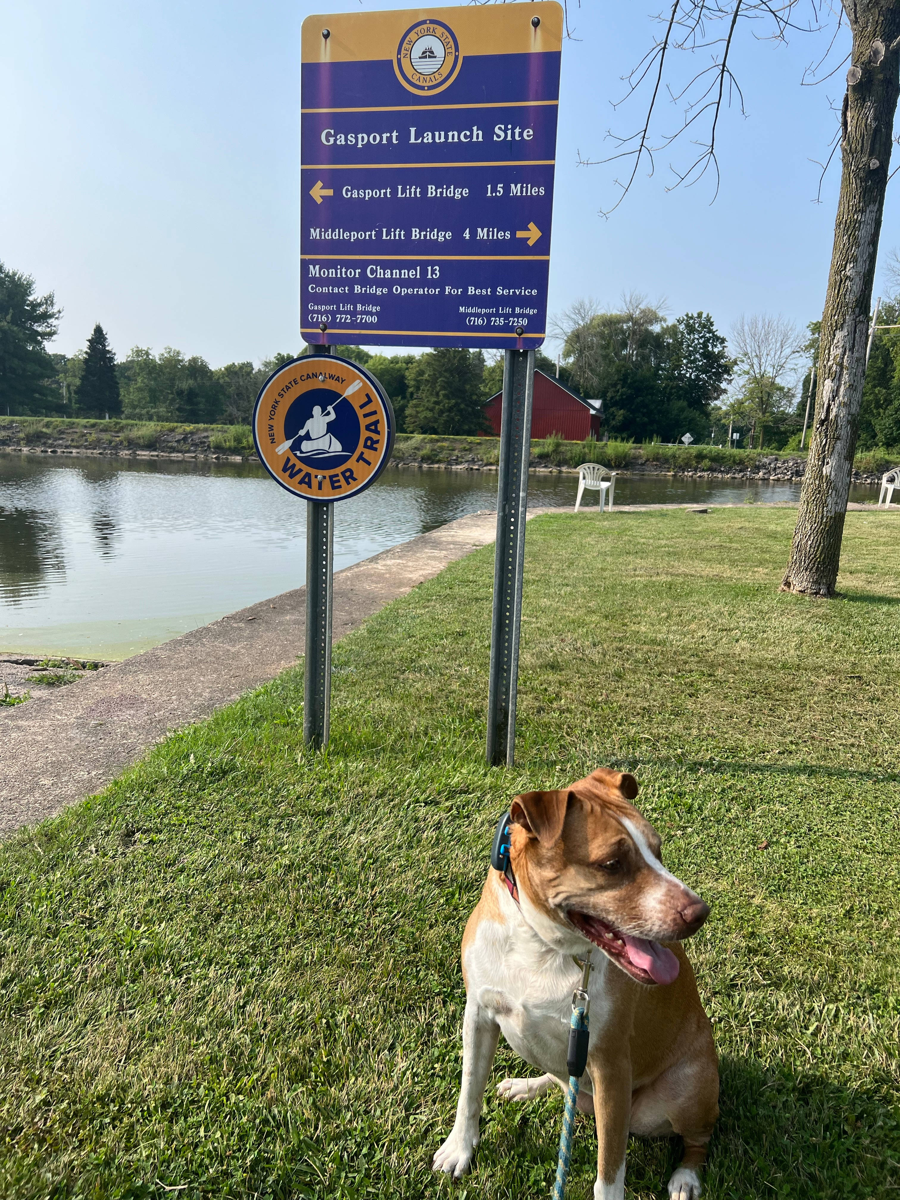 Tomtuga on the Erie Canal
