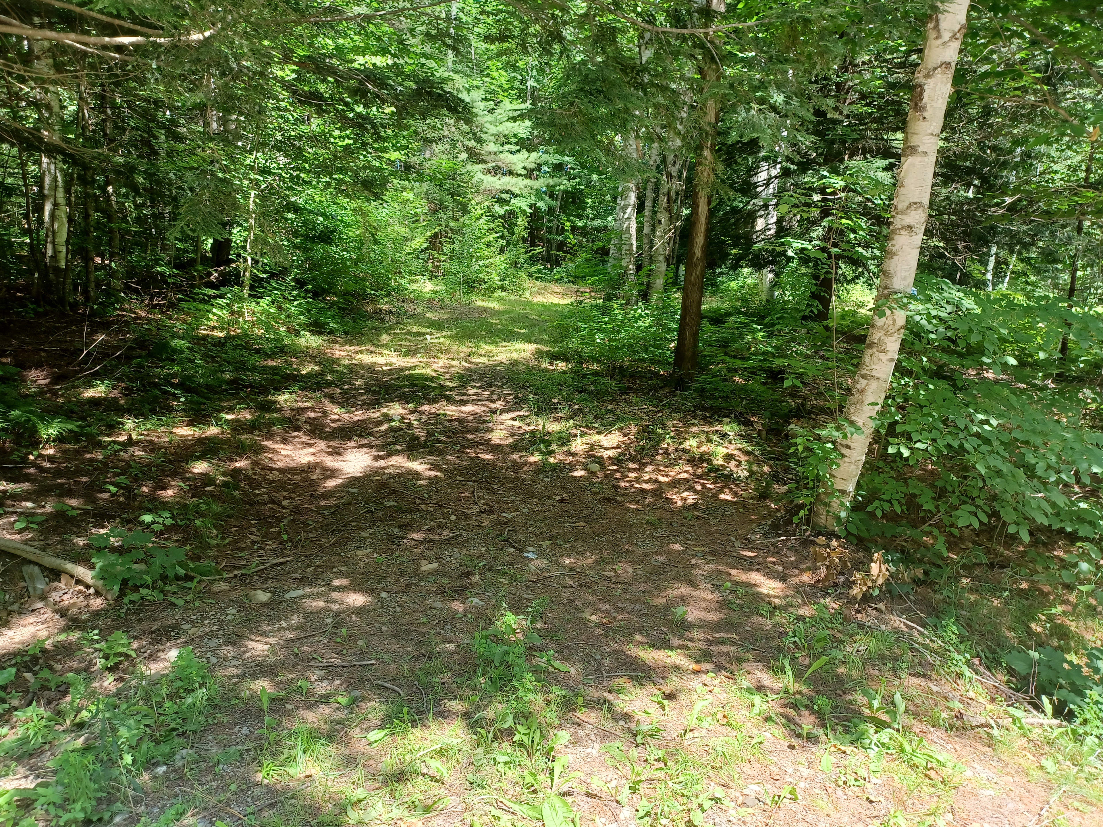 Four Leaf Camps