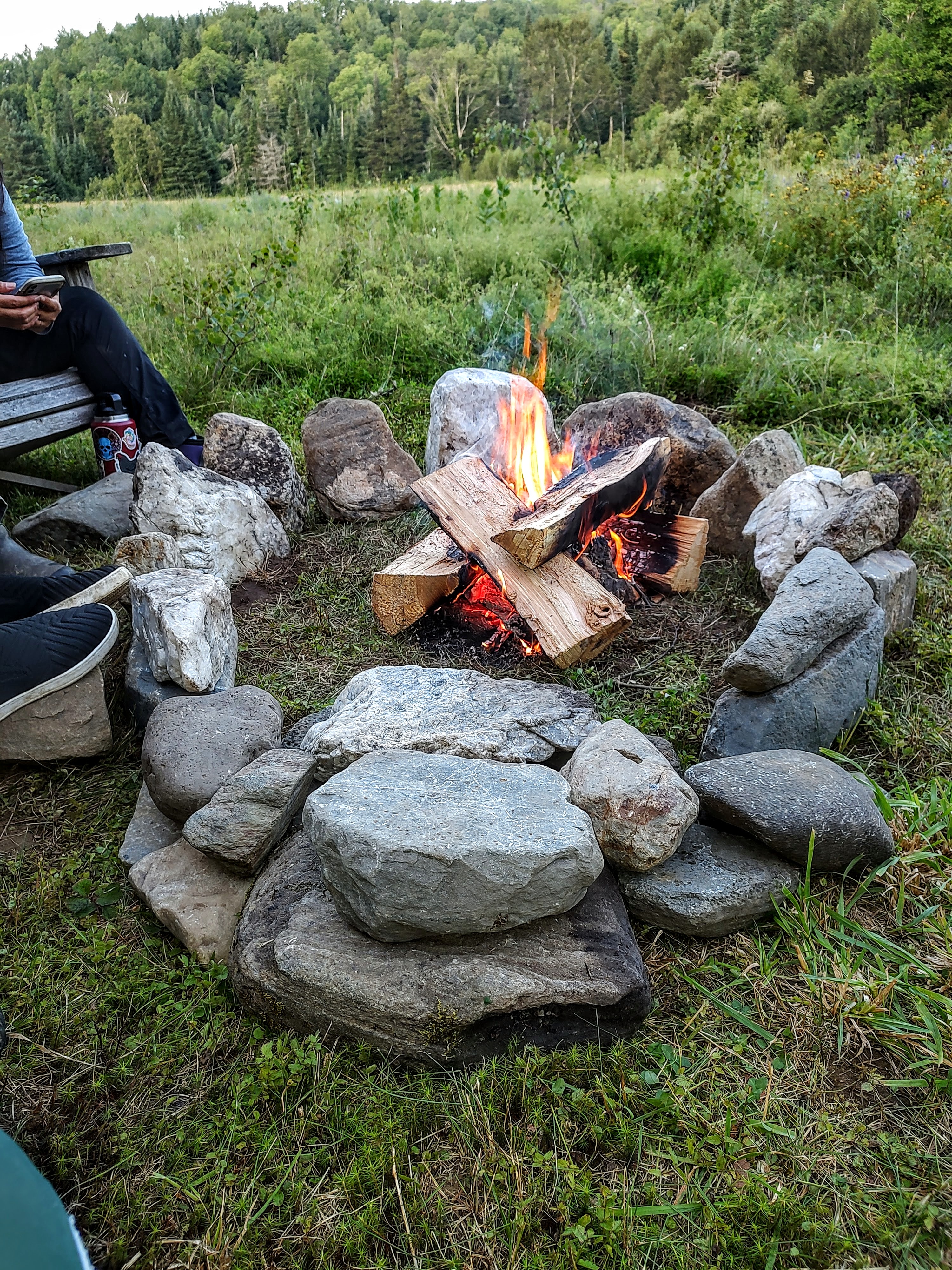 Golden Birch Sanctuary