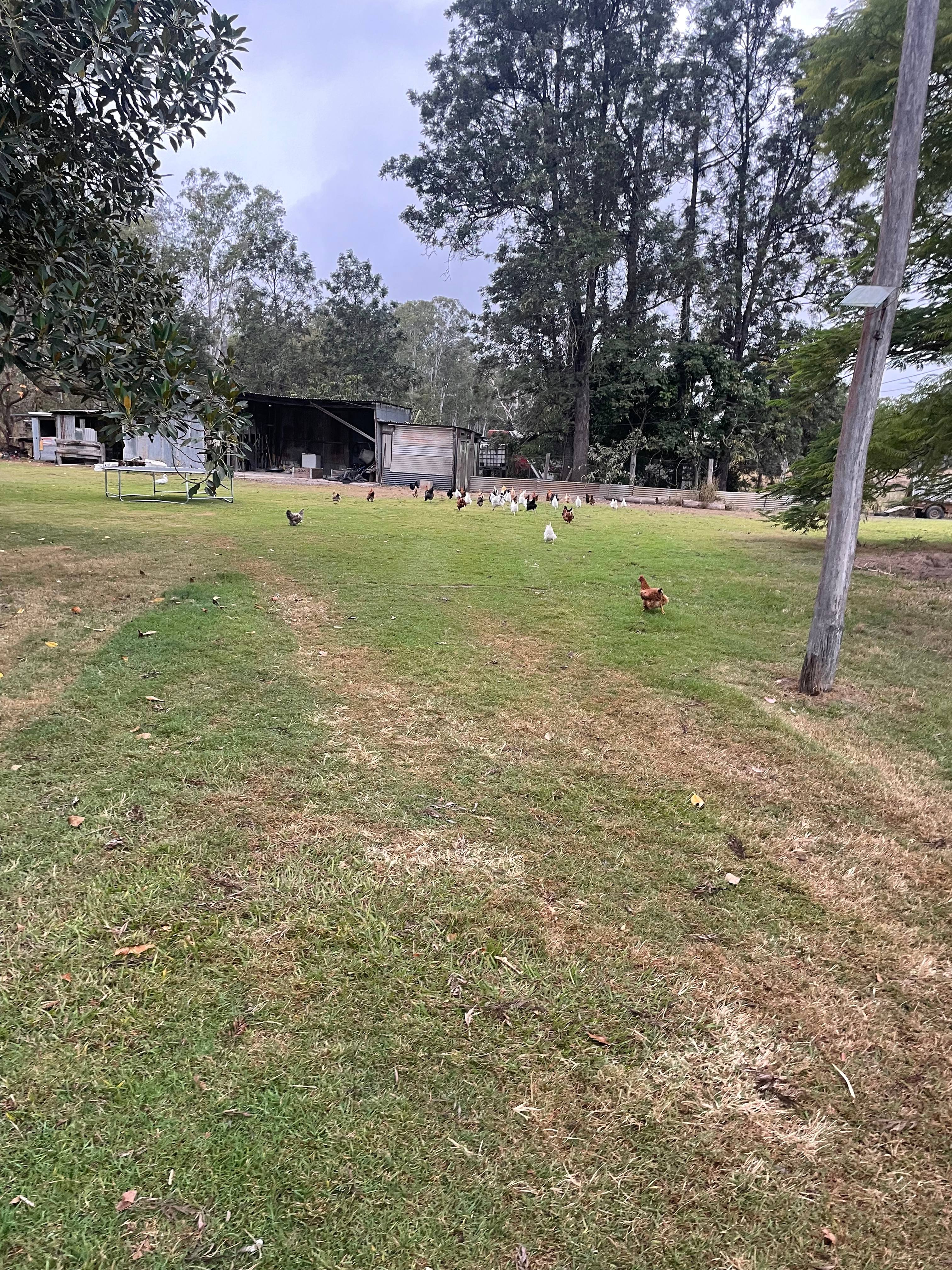 Makowata Farm