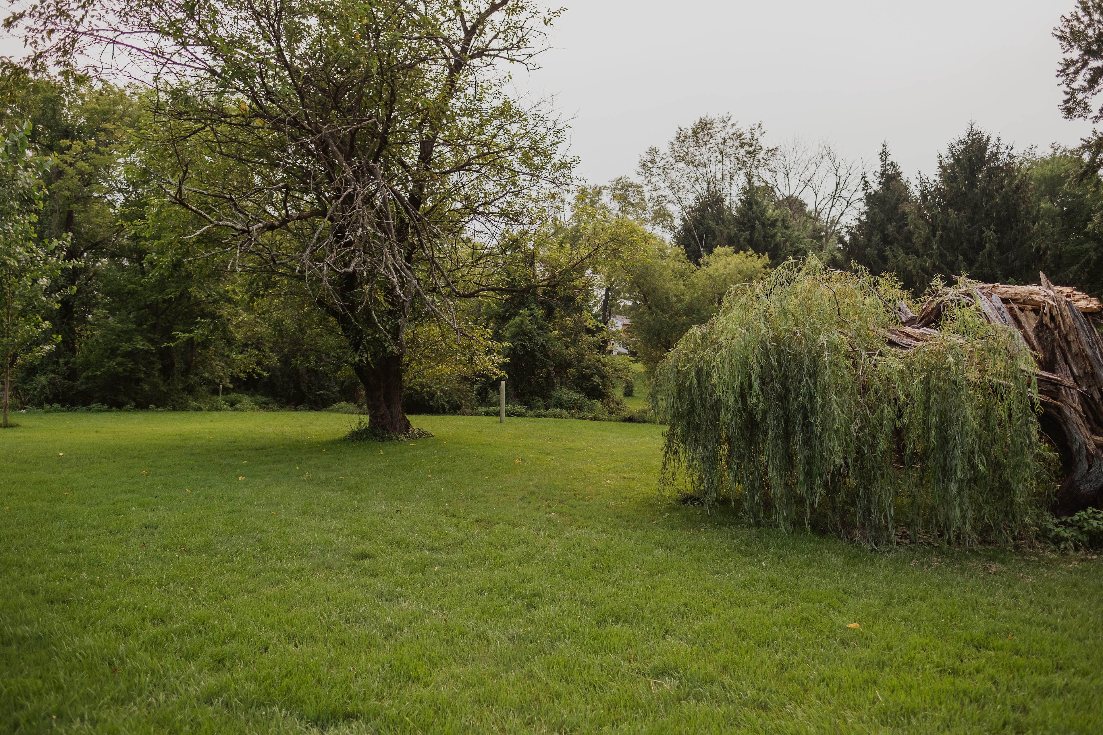 Another camping nook