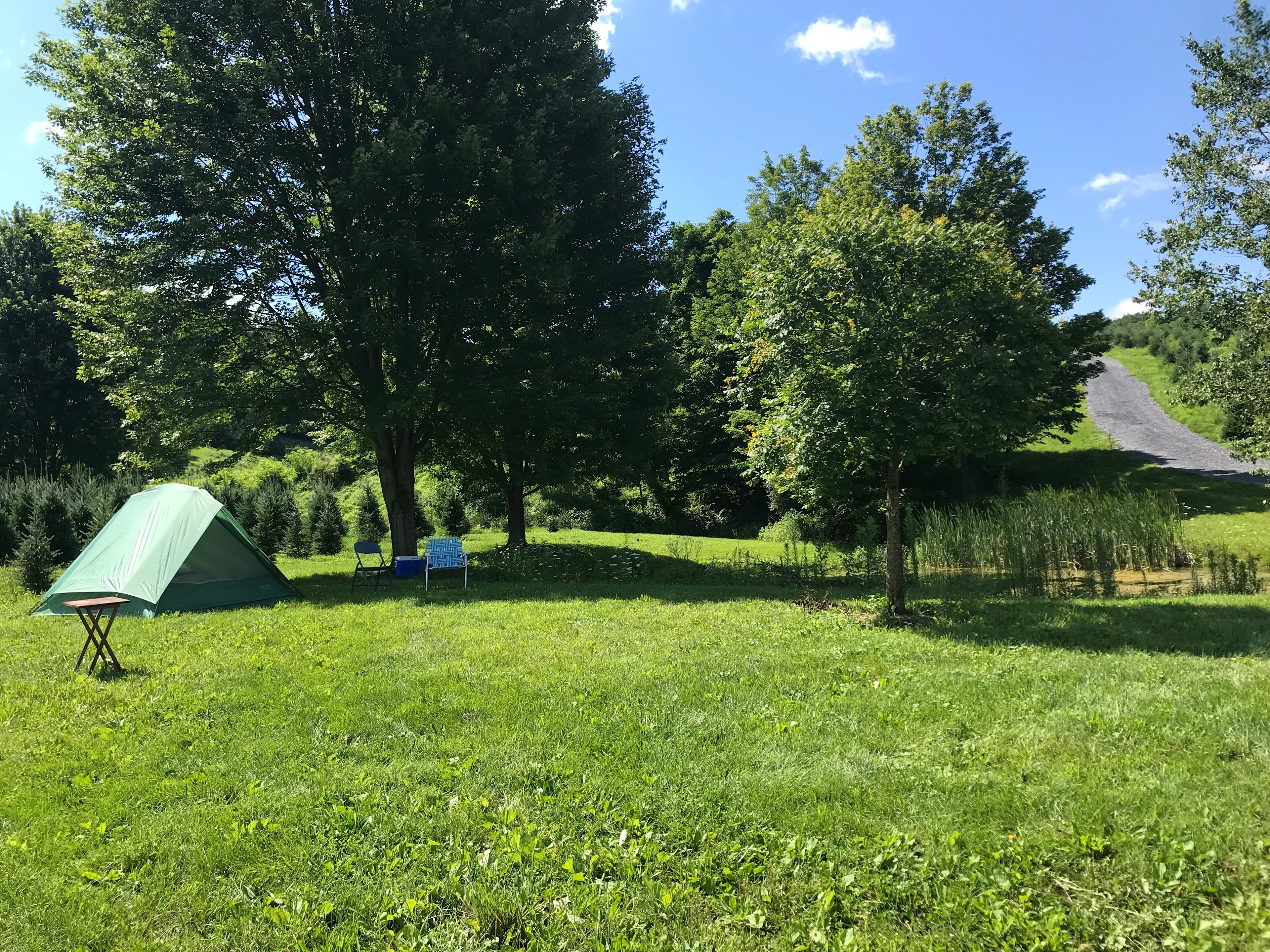 Our campsite. There’s a pond to the right. The host also brought us a fire pit and split kindling for us :)