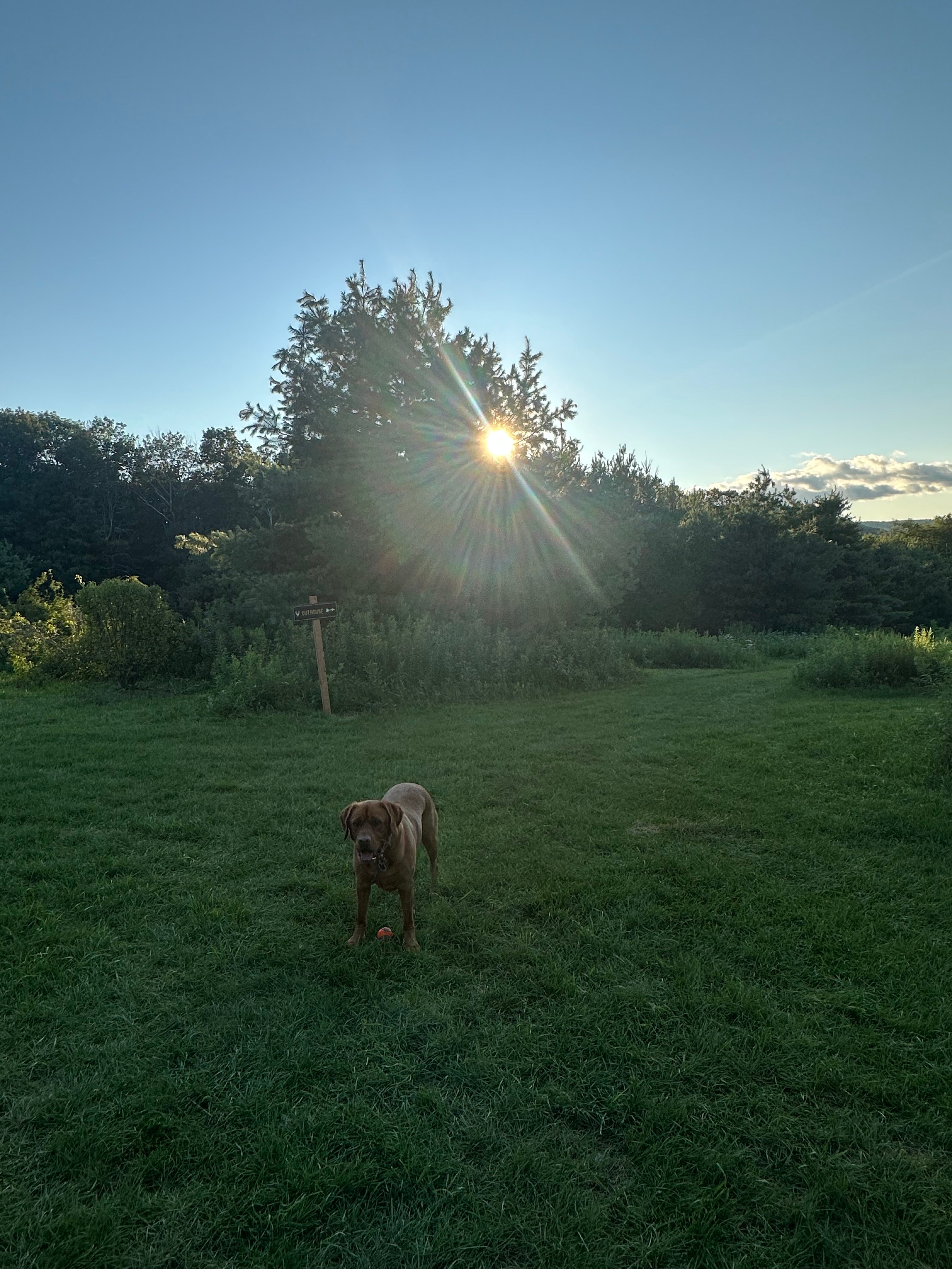 Upper Shire Campsites Hudson Valley