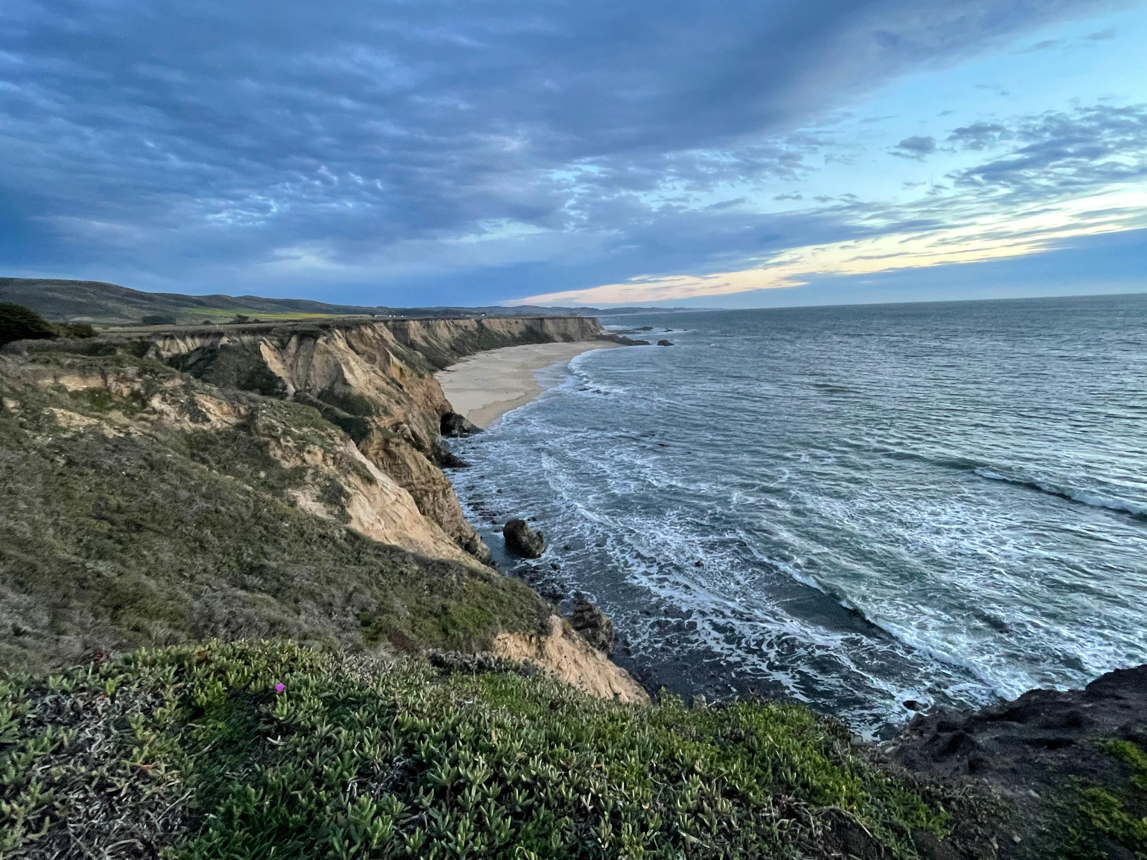 Nearby beaches_some dog friendly