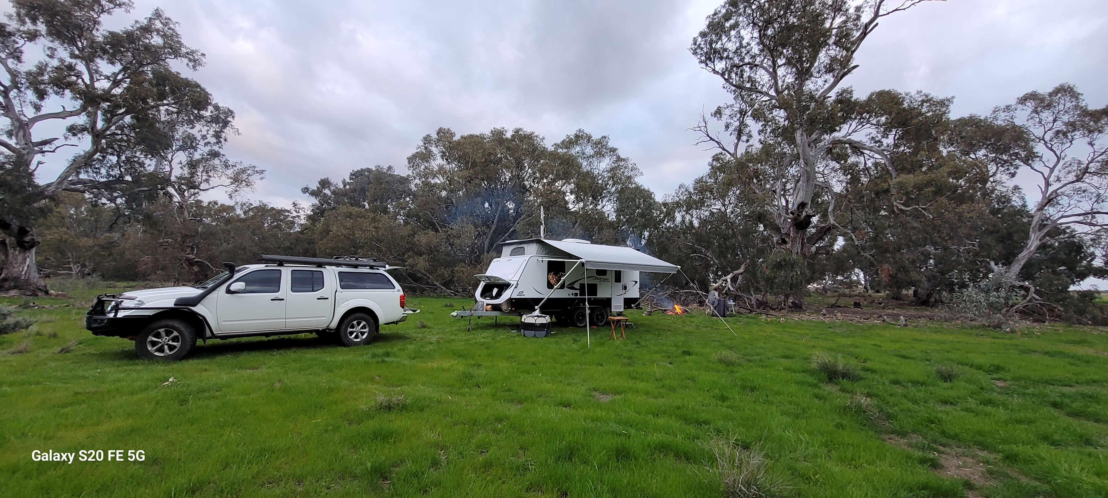 Babbler's Haven   Canary Island