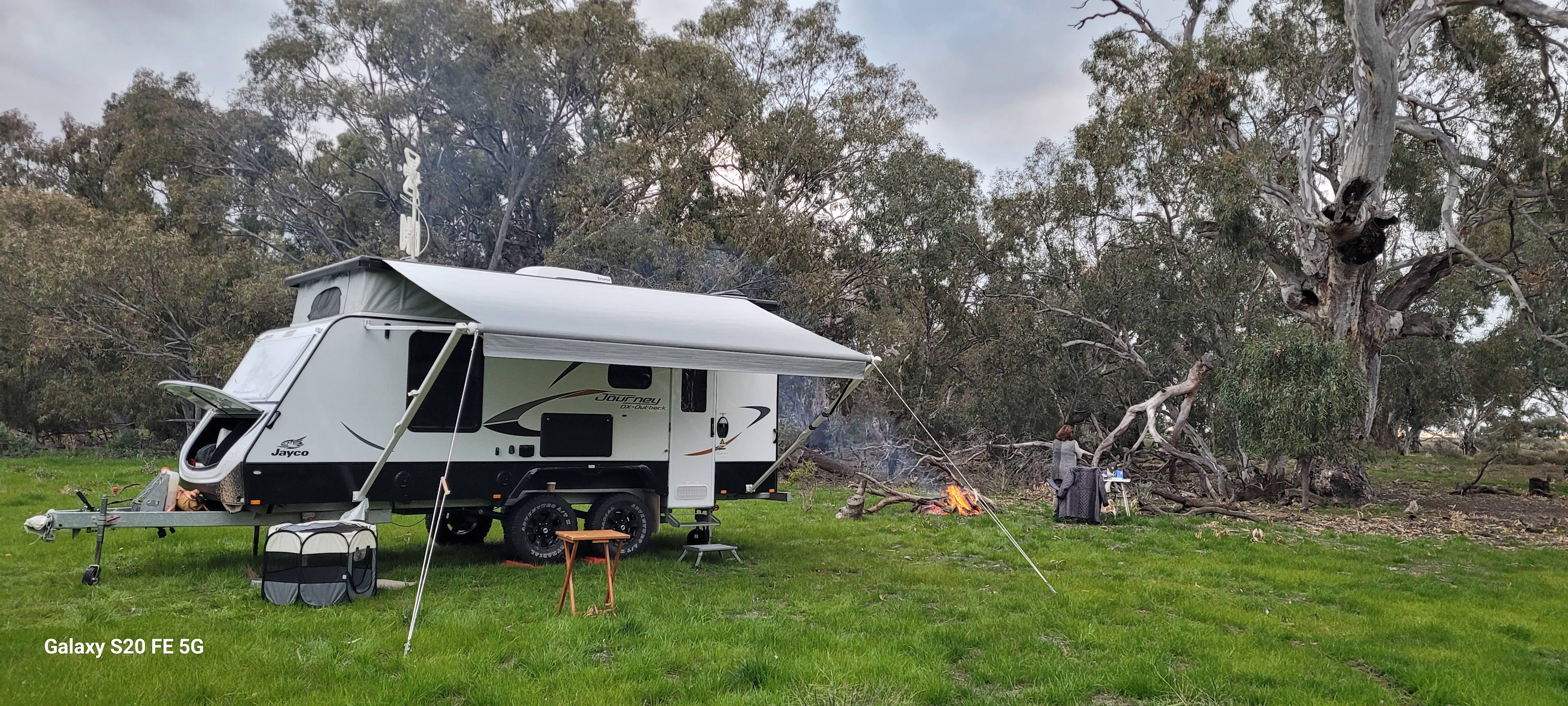 Babbler's Haven   Canary Island