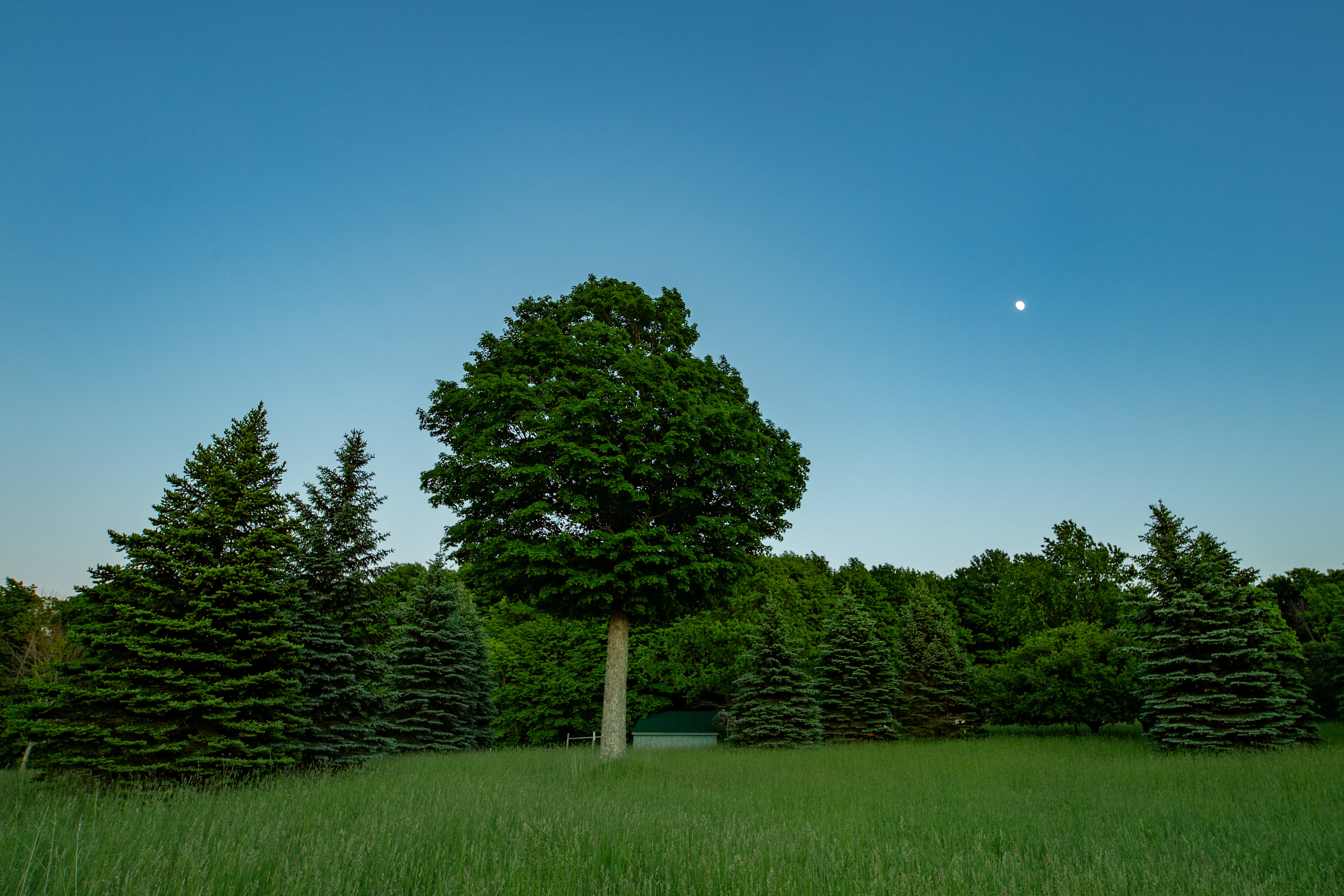 Blissfest Festival Farm