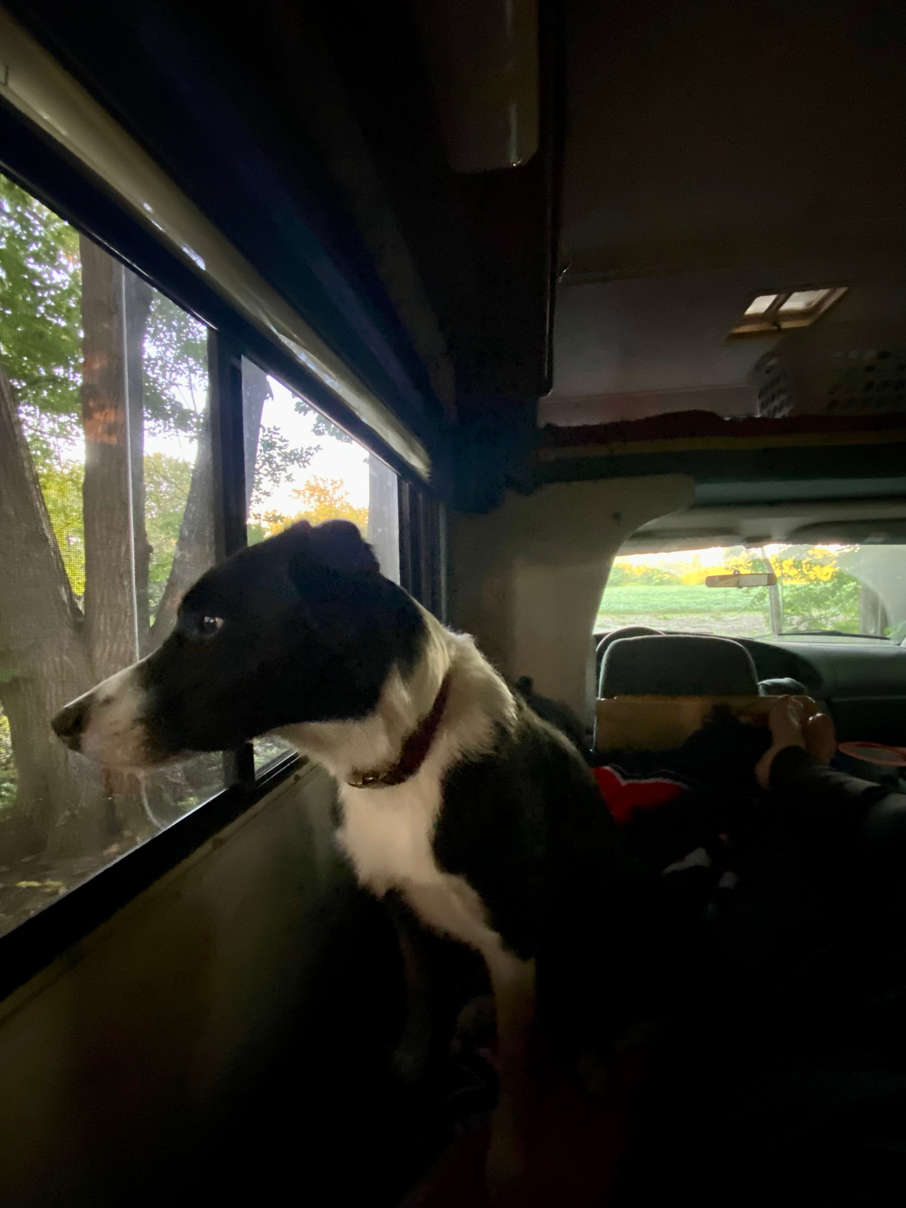 Bright's Grove Bayou