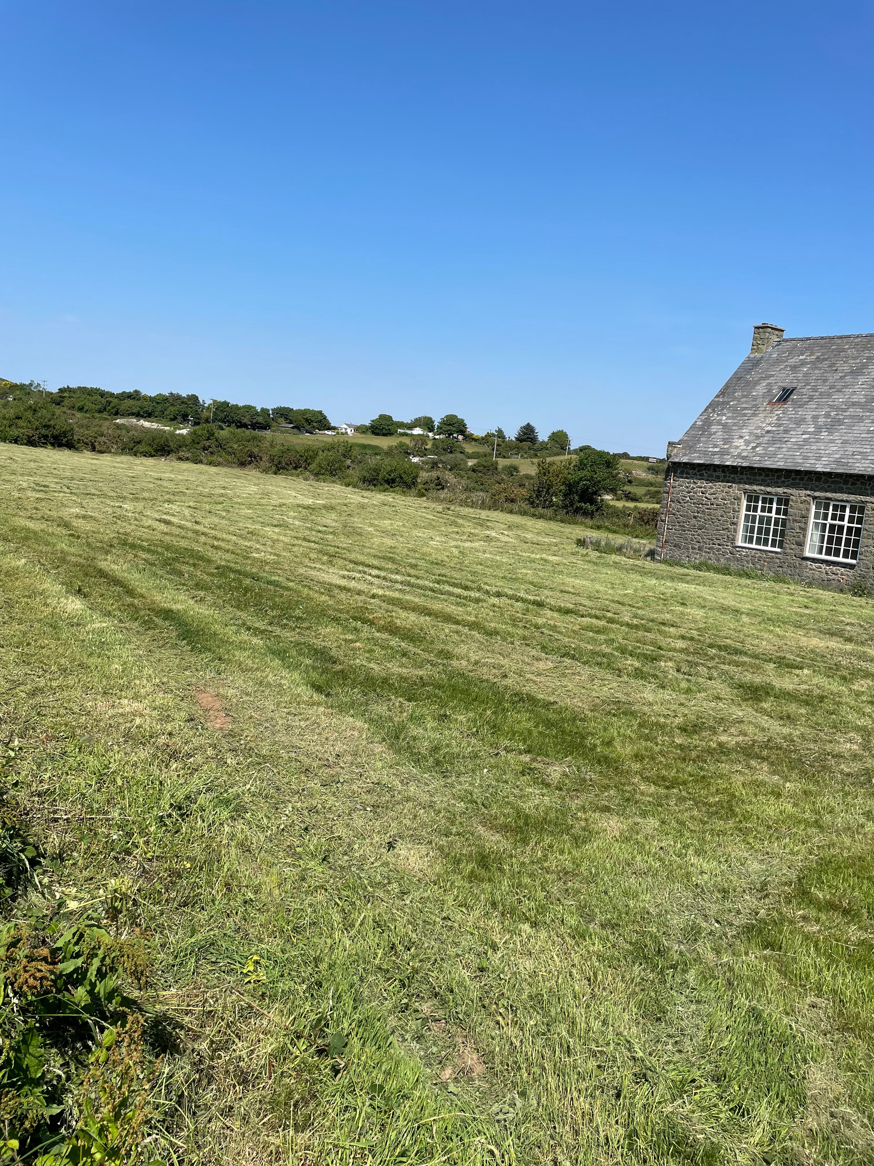 The Field