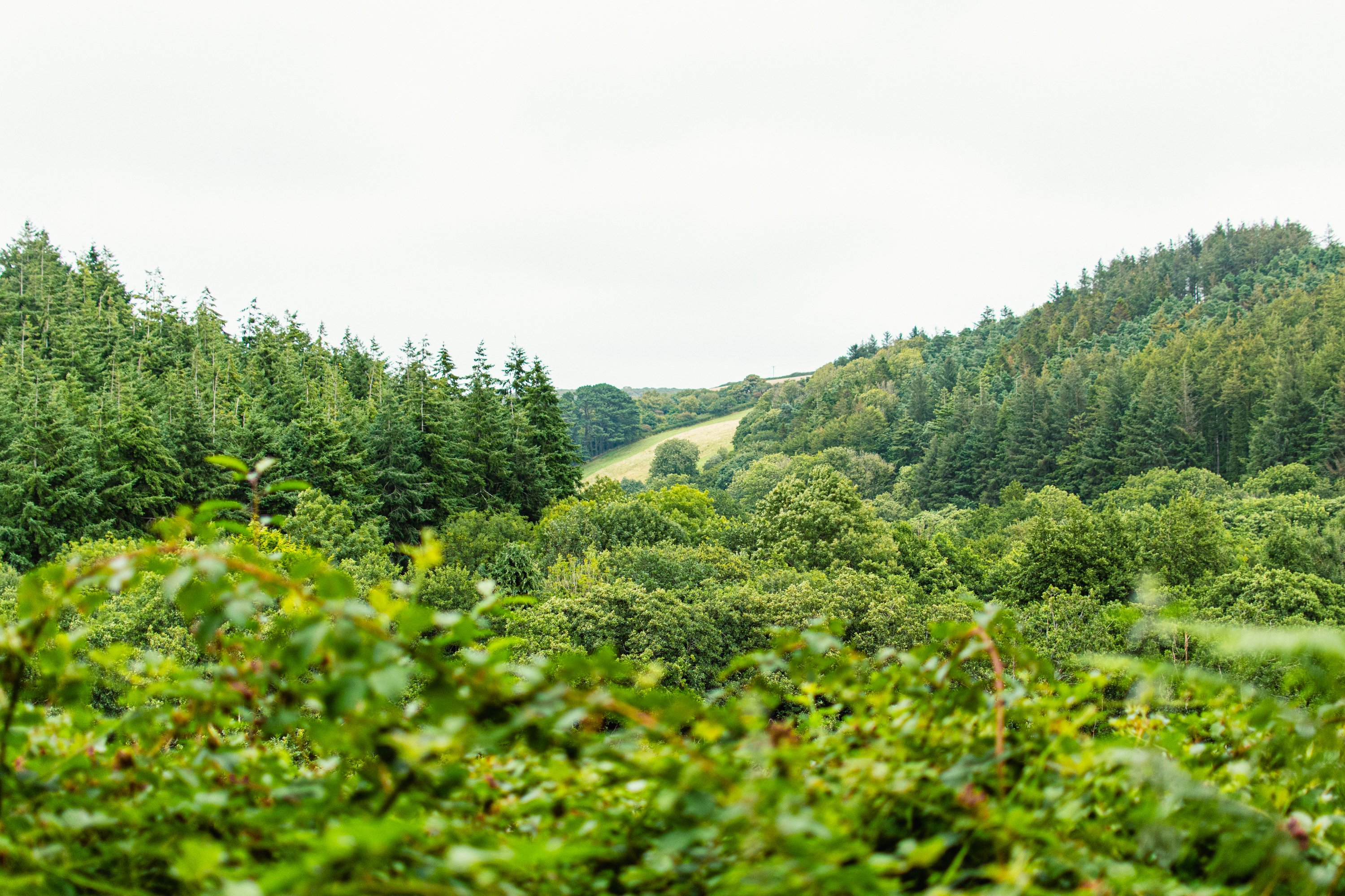 Fantastic views from the top of the hill above camp