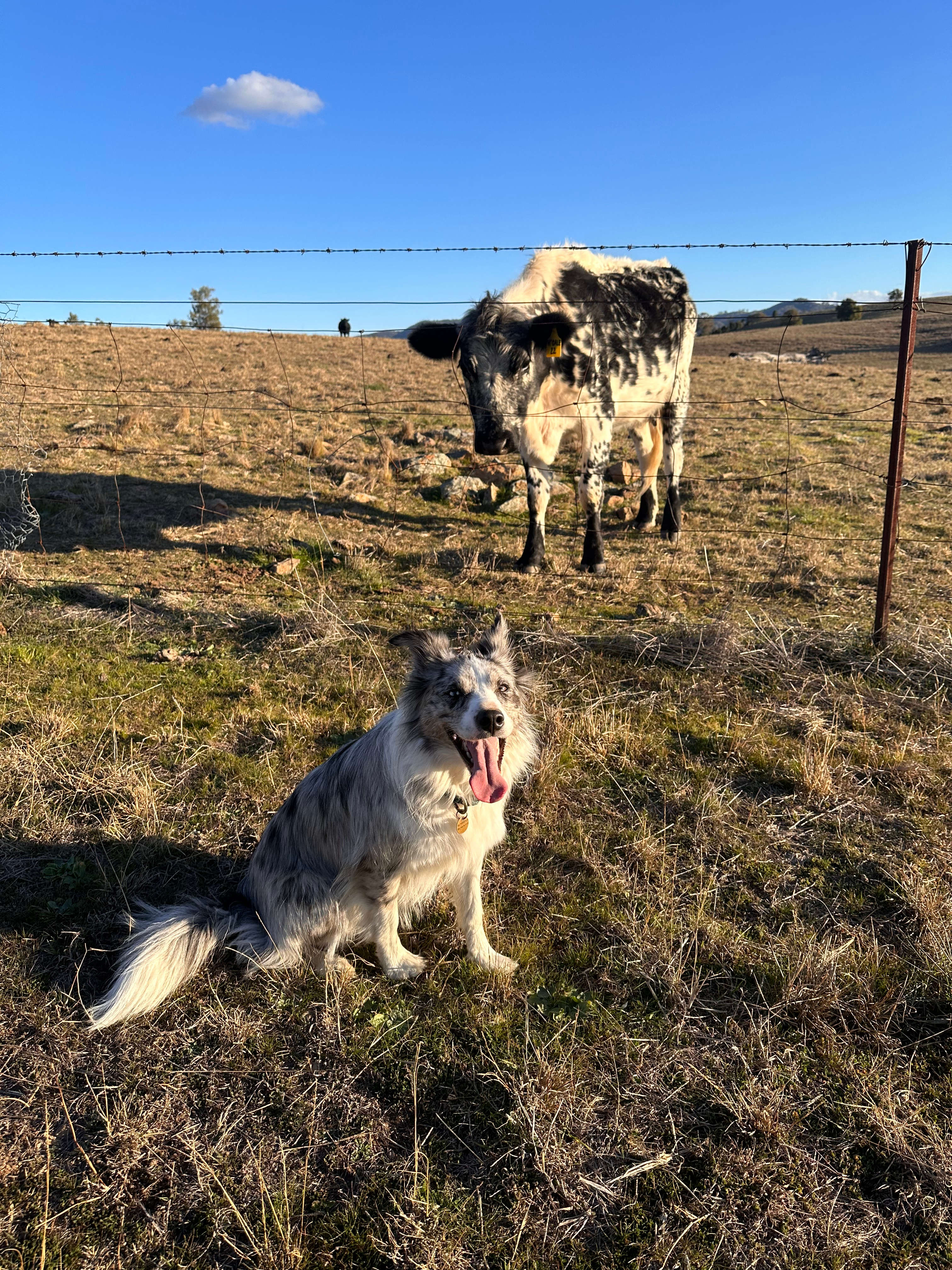 Hillsdale Farm Mudgee - 4WD Access