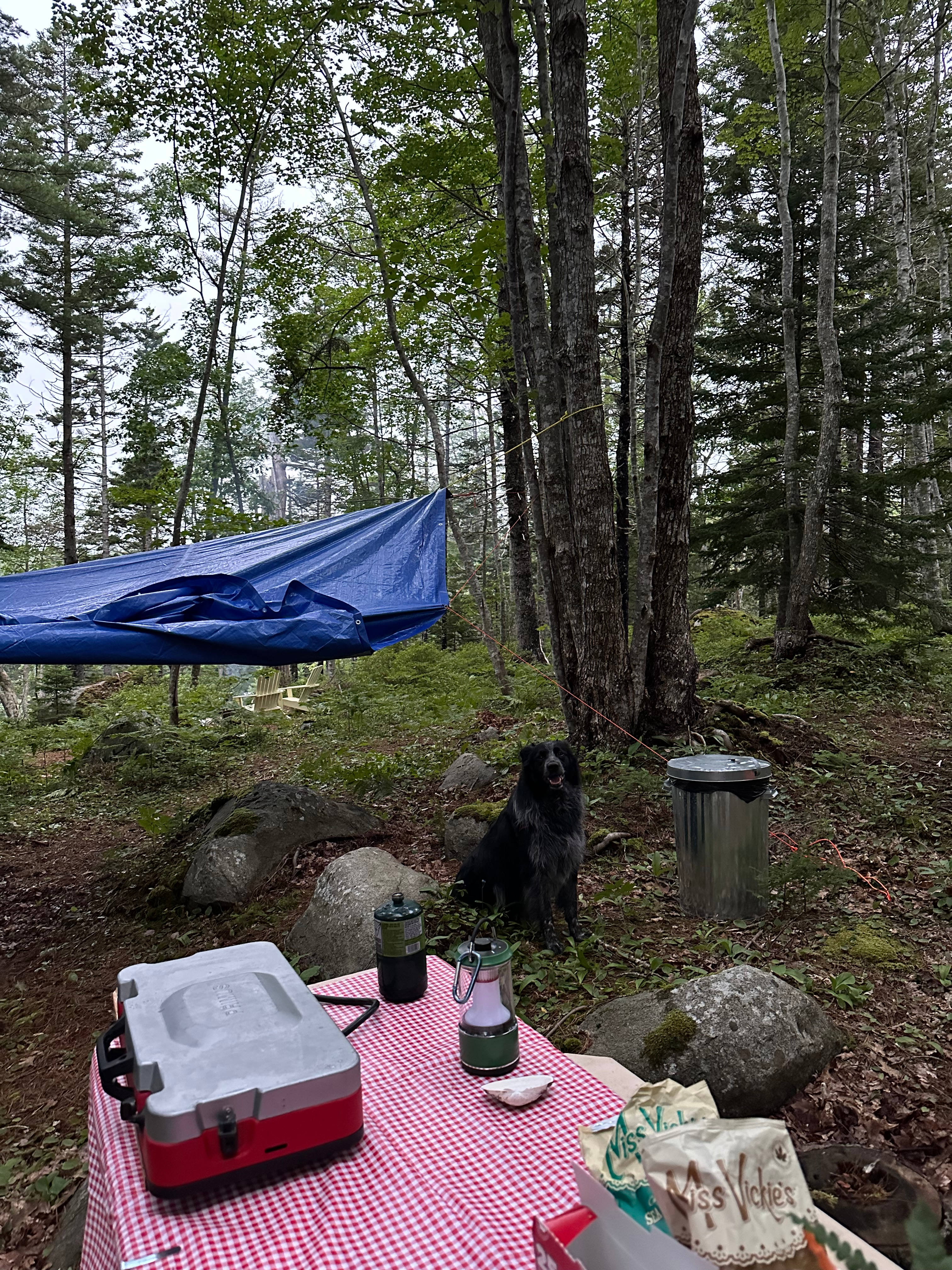 They provide a garbage can, recycling bag and bucket (we used to collect water to put out our fire)
