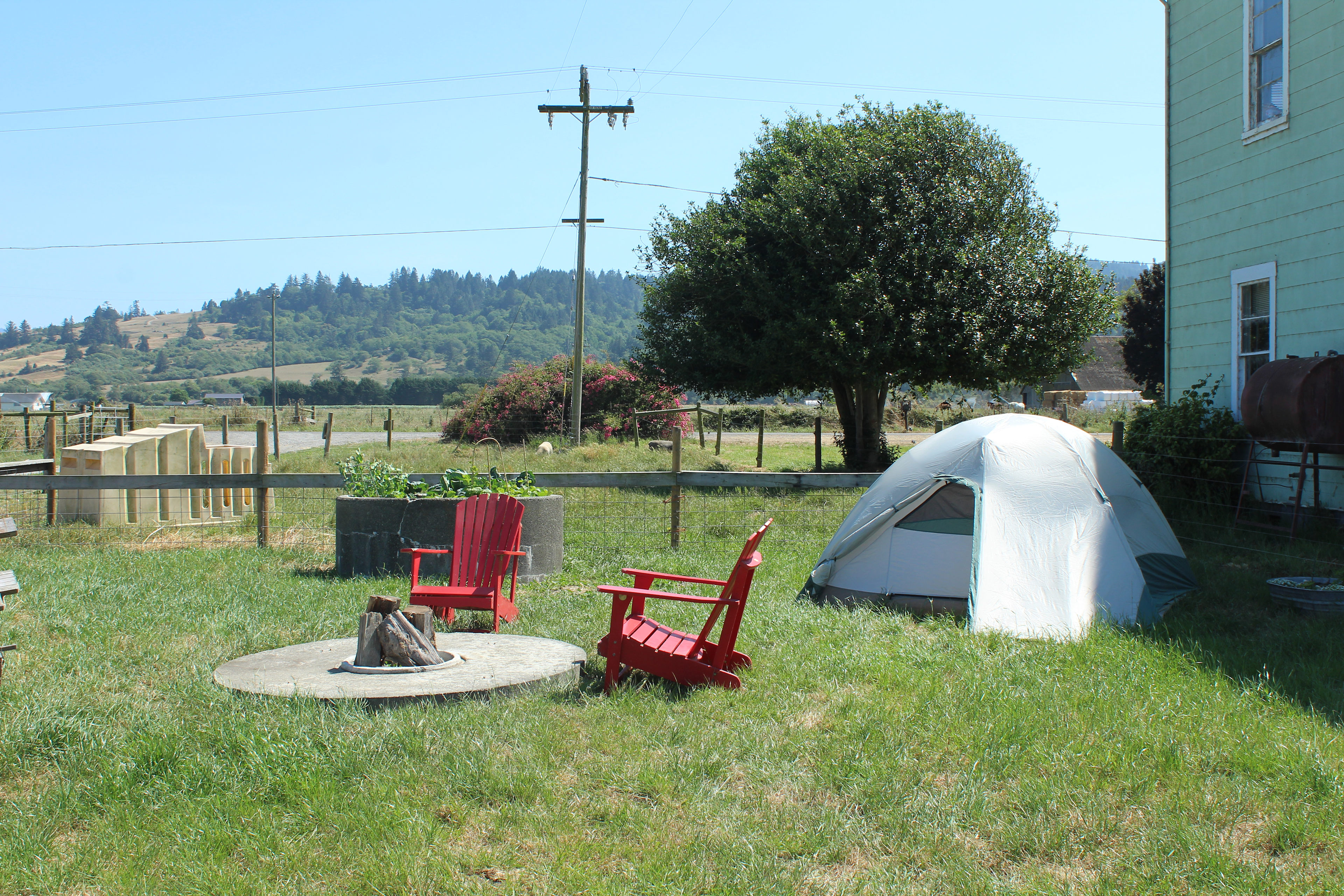 Foggy Bottoms Basecamp comes with everything you need for a magical journey through the world of regenerative agriculture!