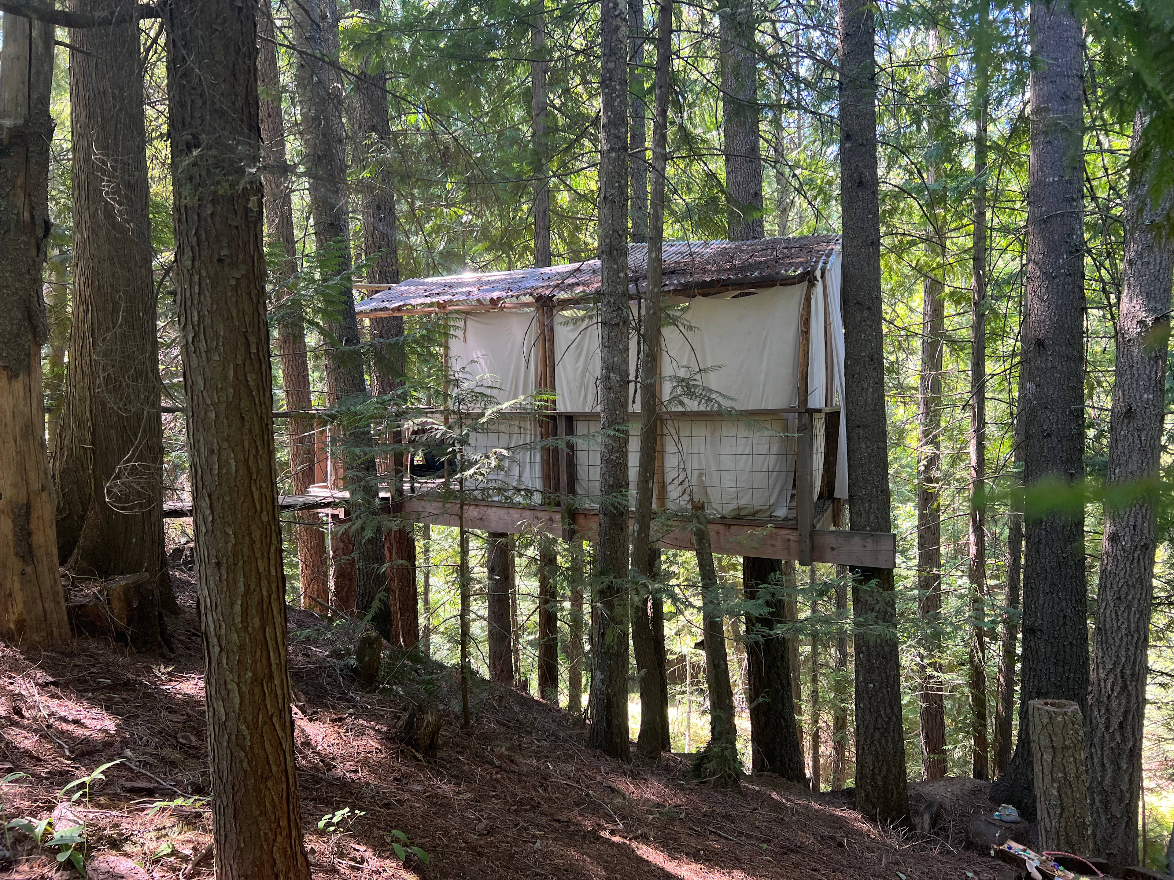 Wee Place in the Woods