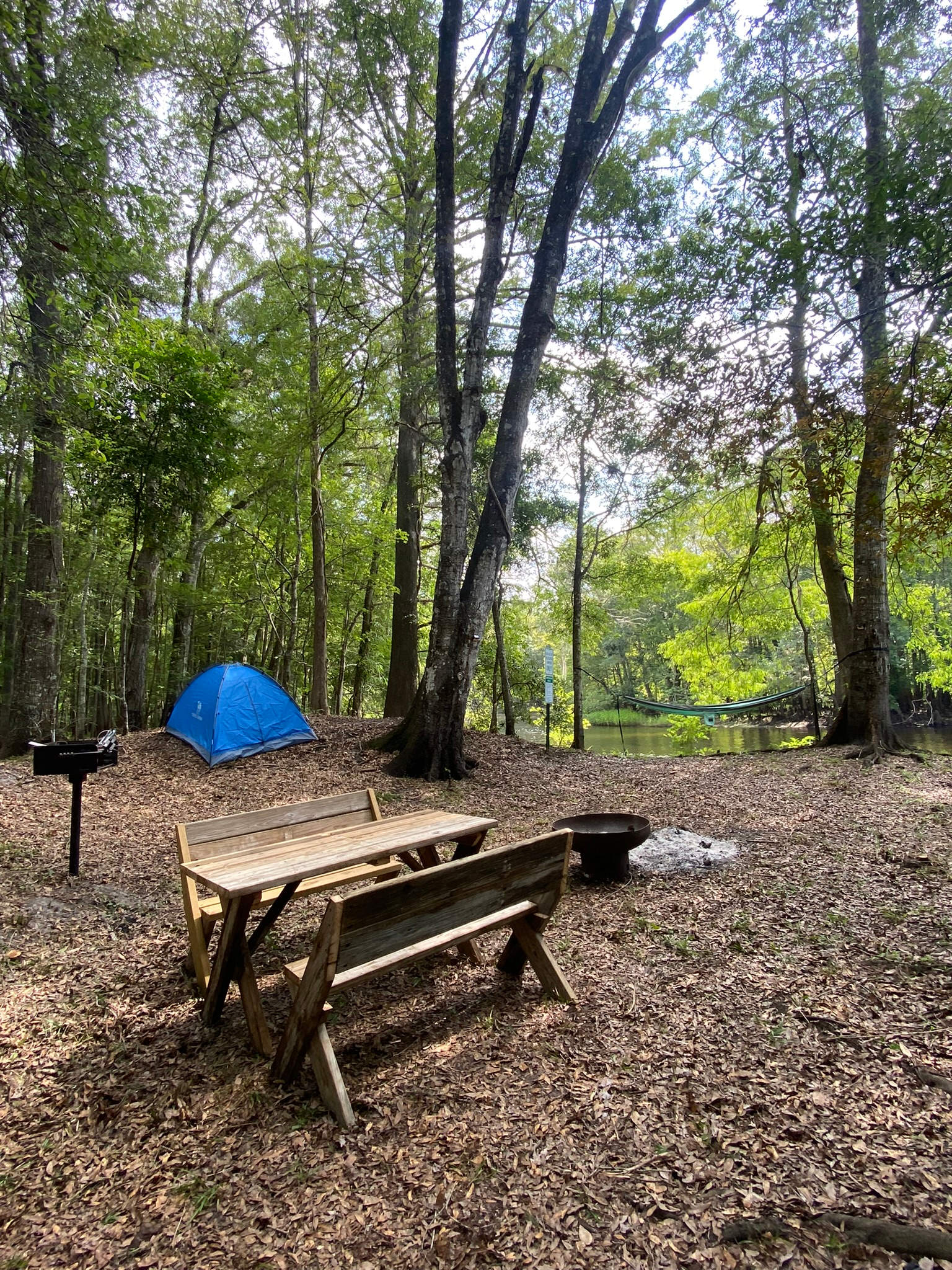 Primitive Island on Withlacoochee