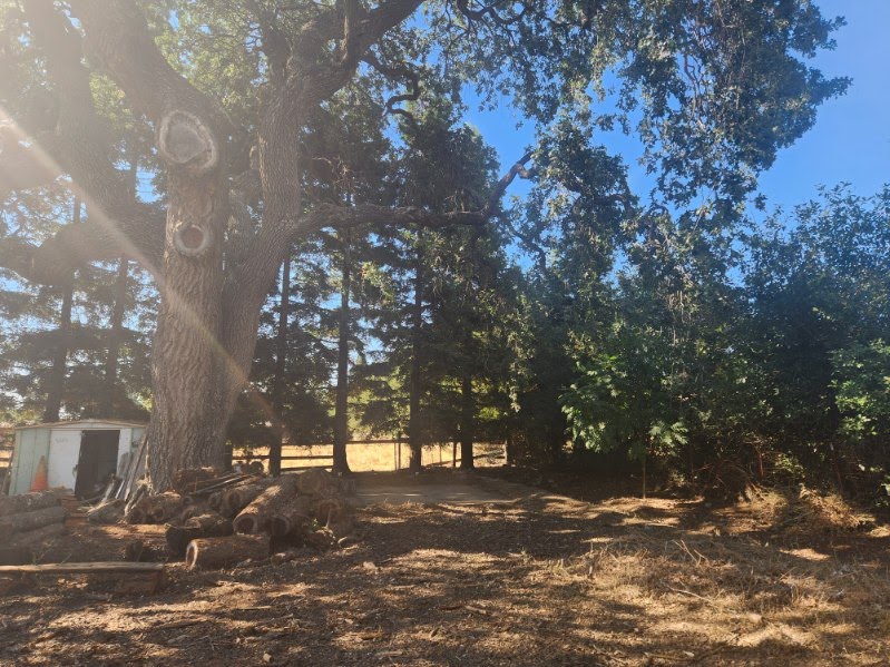 Managed Mischief Micro Farm