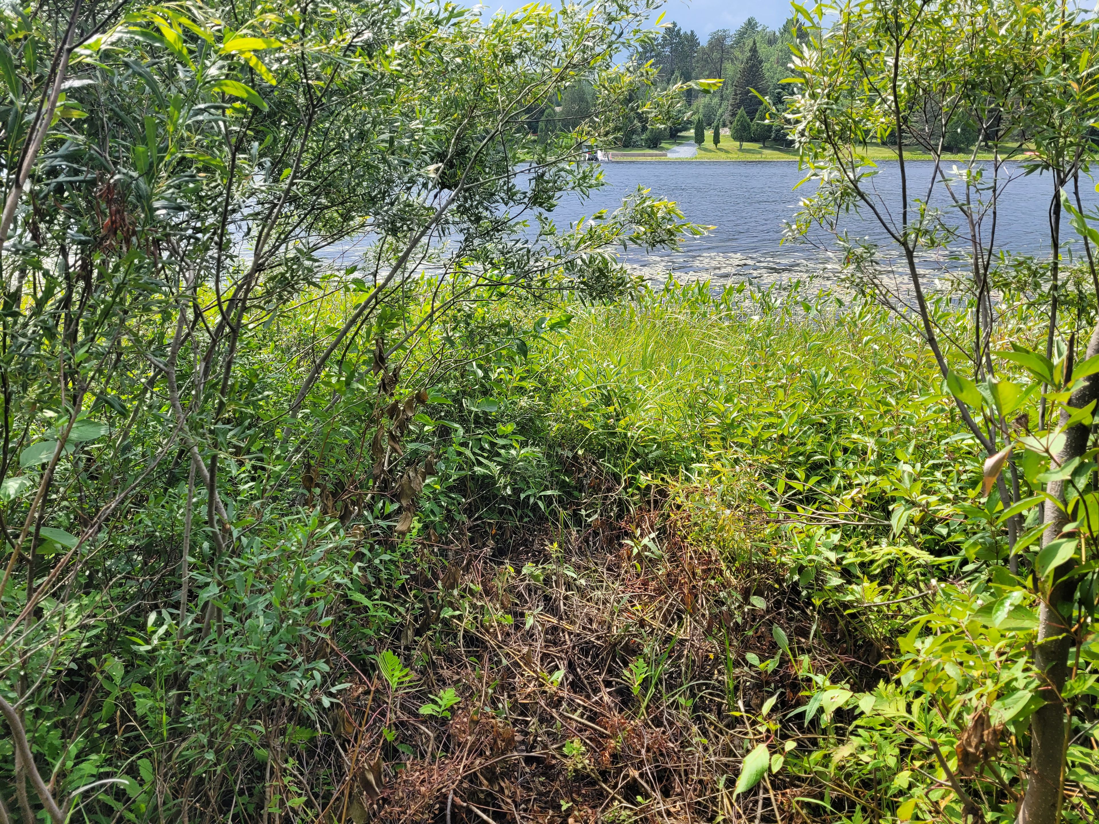 Rusty's Red Deer Lake Getaway