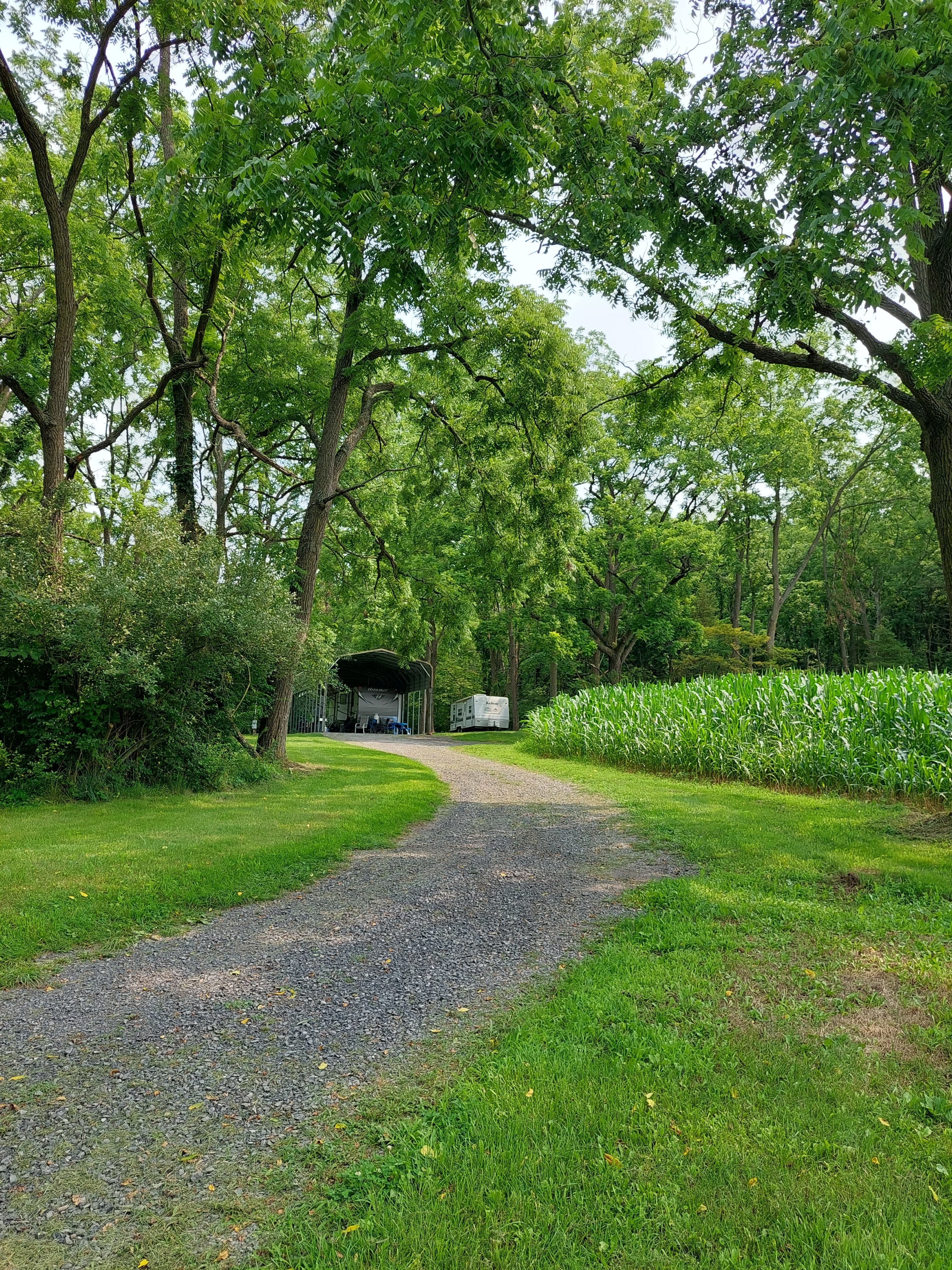 Davis Farm