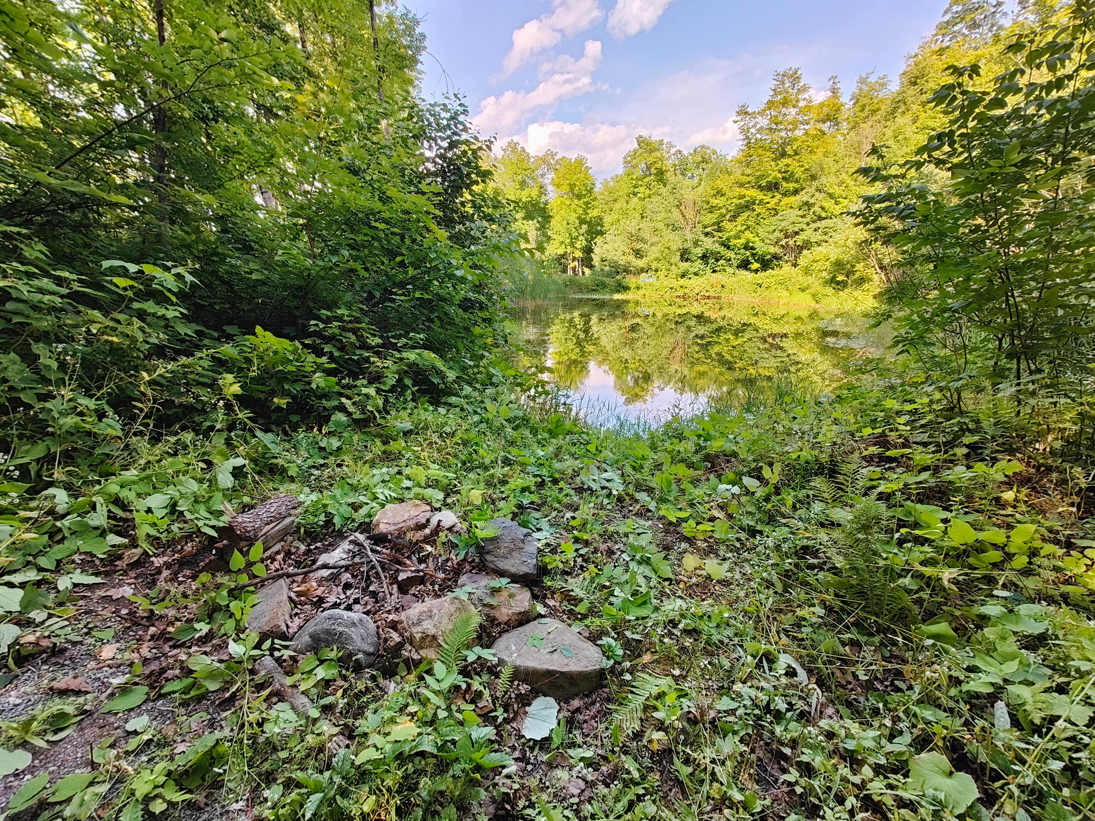 Fire pit by the pond