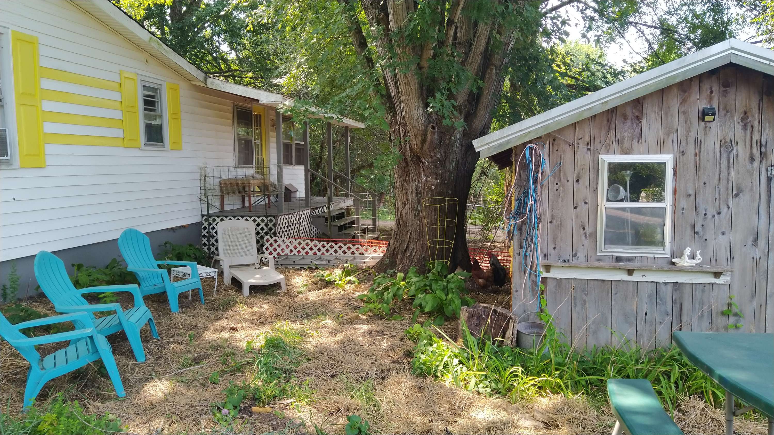 The "Lemon Lodge" was originally built in about 1930, but several additions and more recent cosmetic updates make this a blast to the past with a modern flair. Your host Val spends much of her time thinking about guest experiences in nature and this shade garden next to a very old maple tree is just one of the sitting spots. The little barn structure is actually an artist studio available for artists who visit.