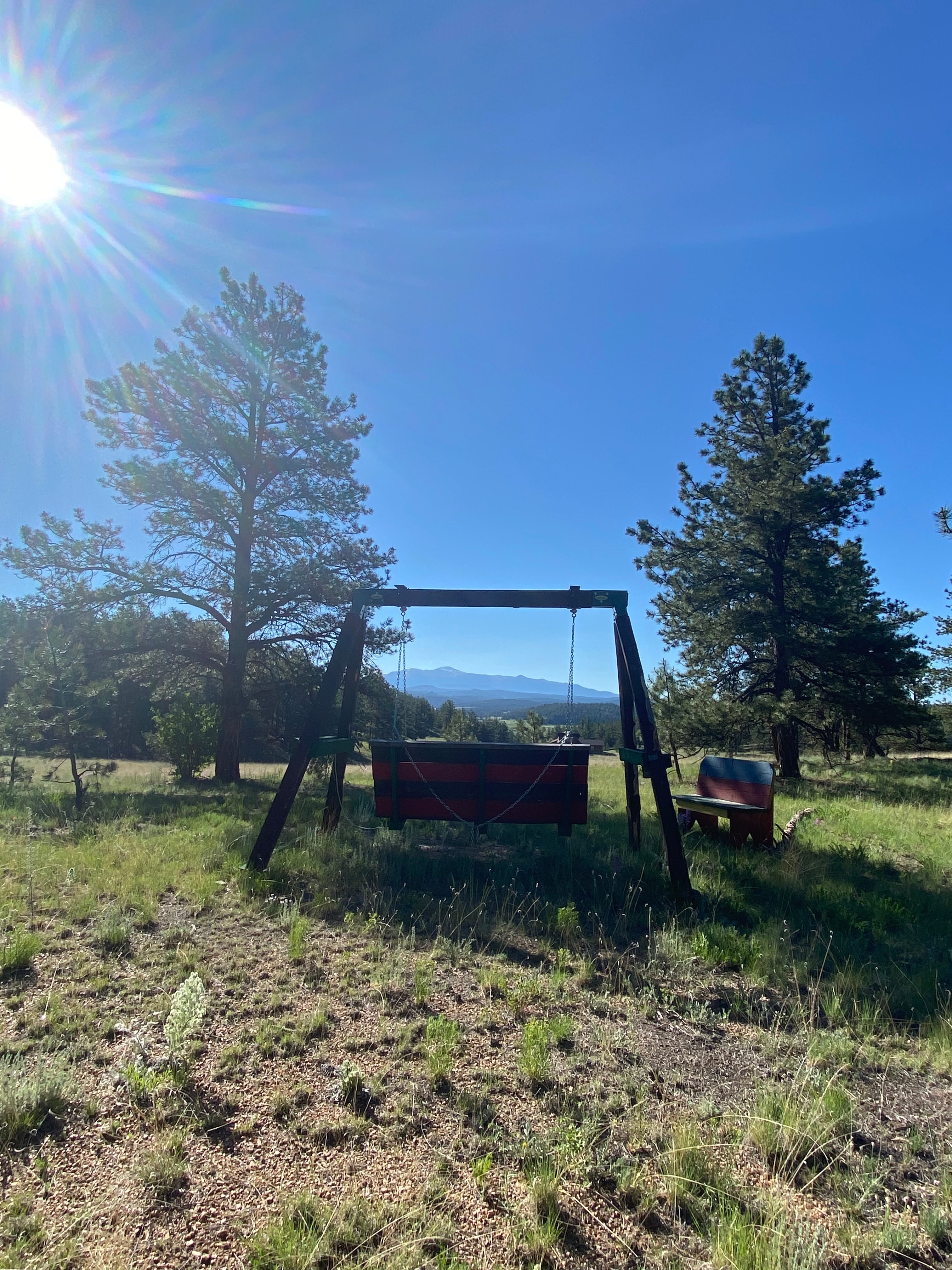 The Nest in Lake George Colorado