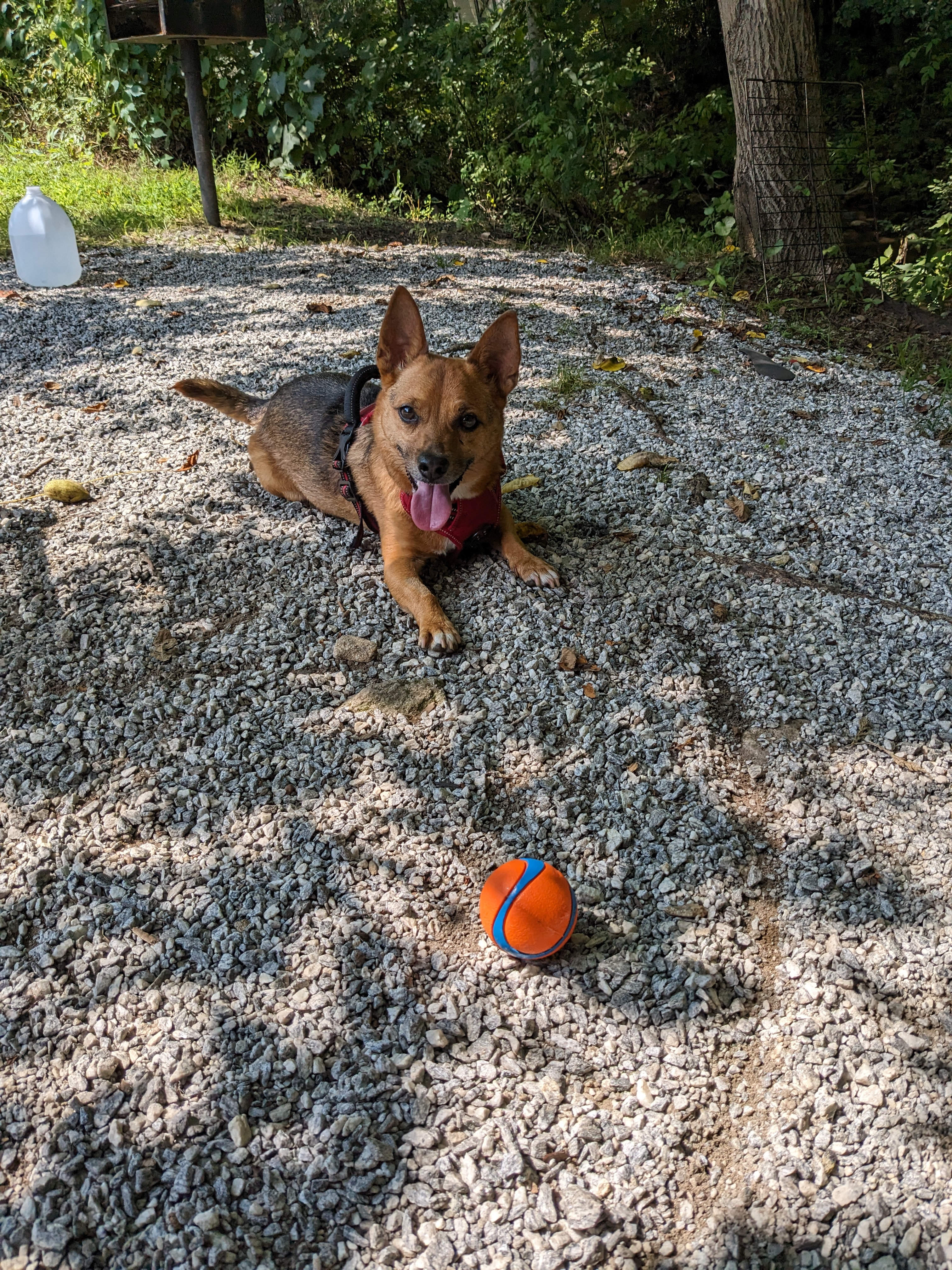 At the Ridge Camp-Riverside Escapes