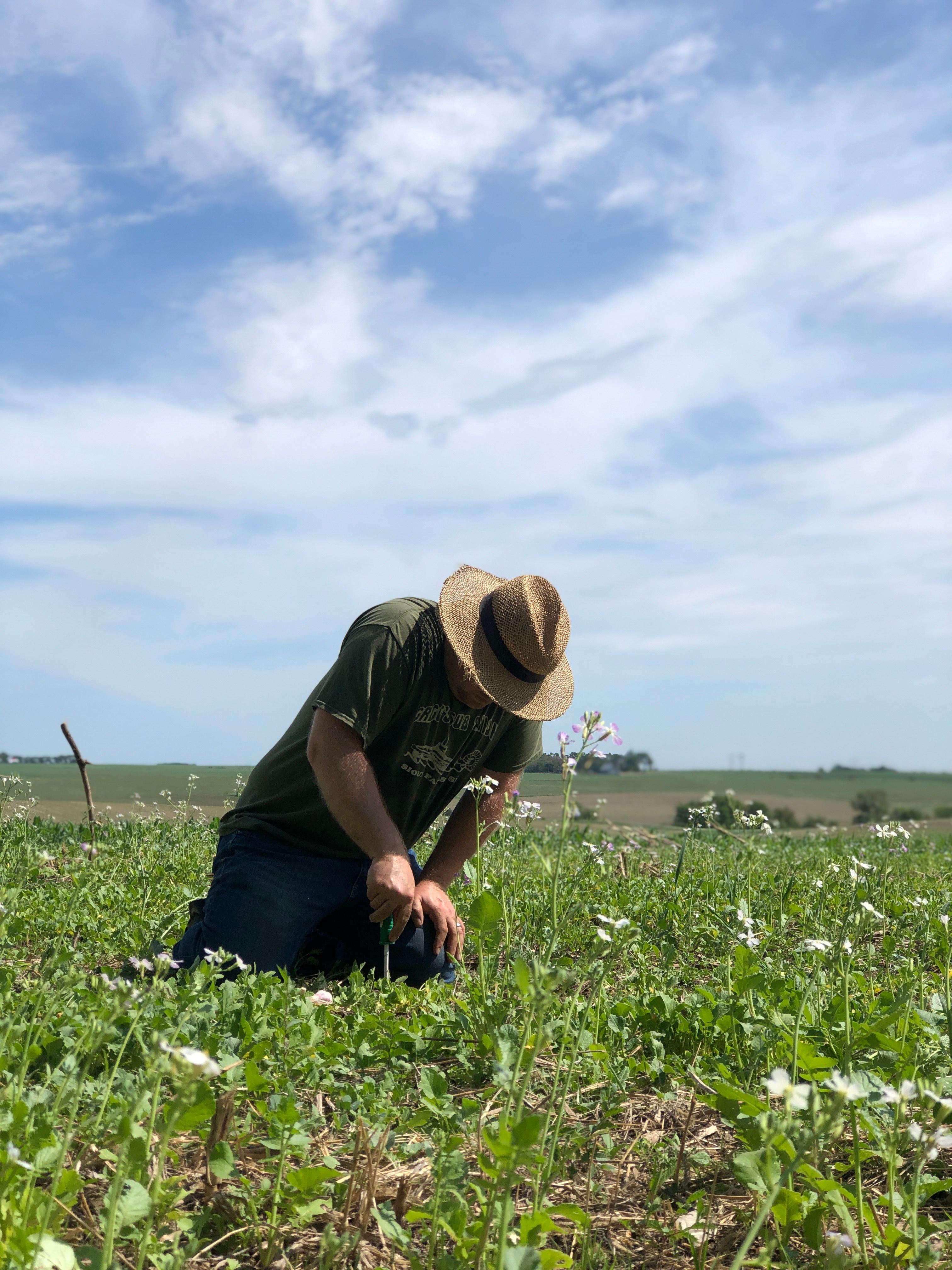 The Specialty Crop