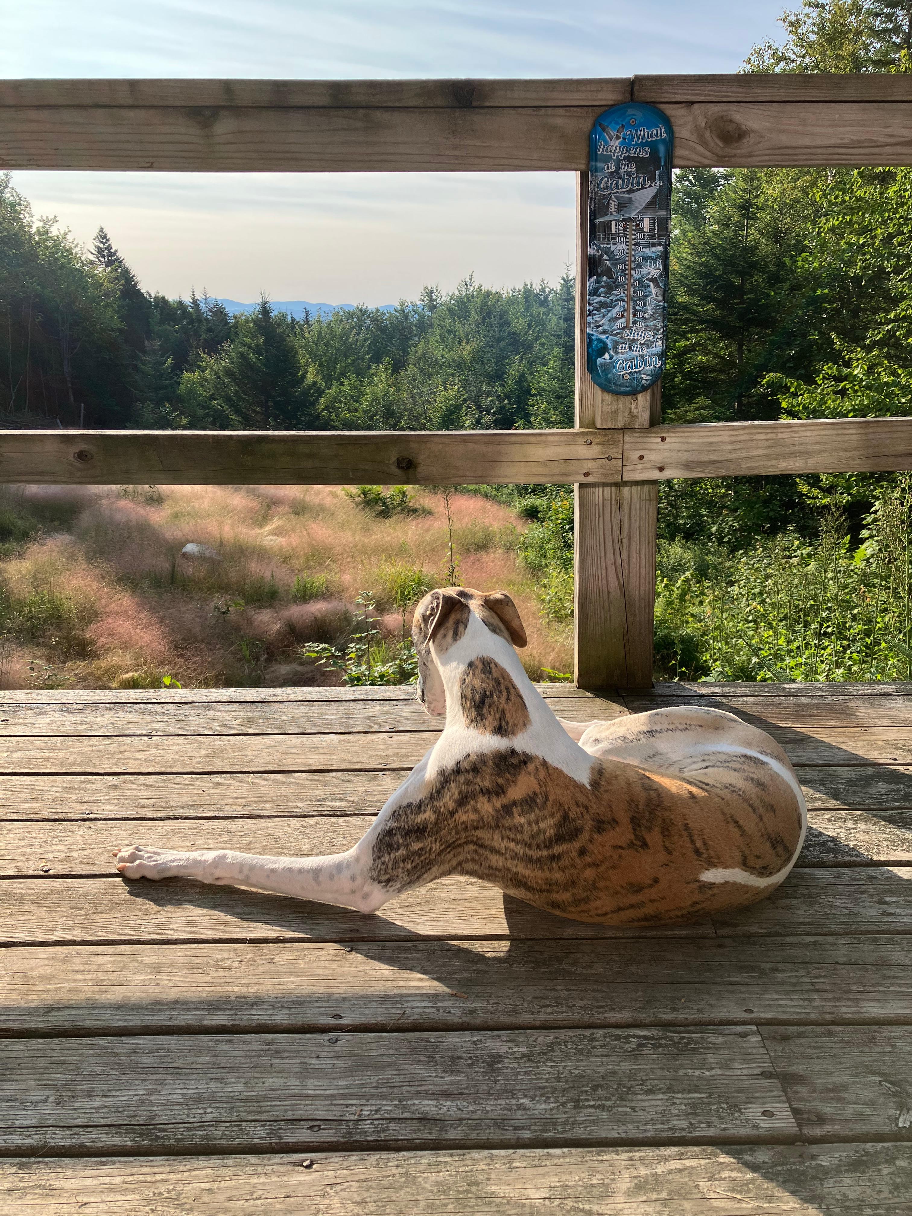 Saddleback Base Camp