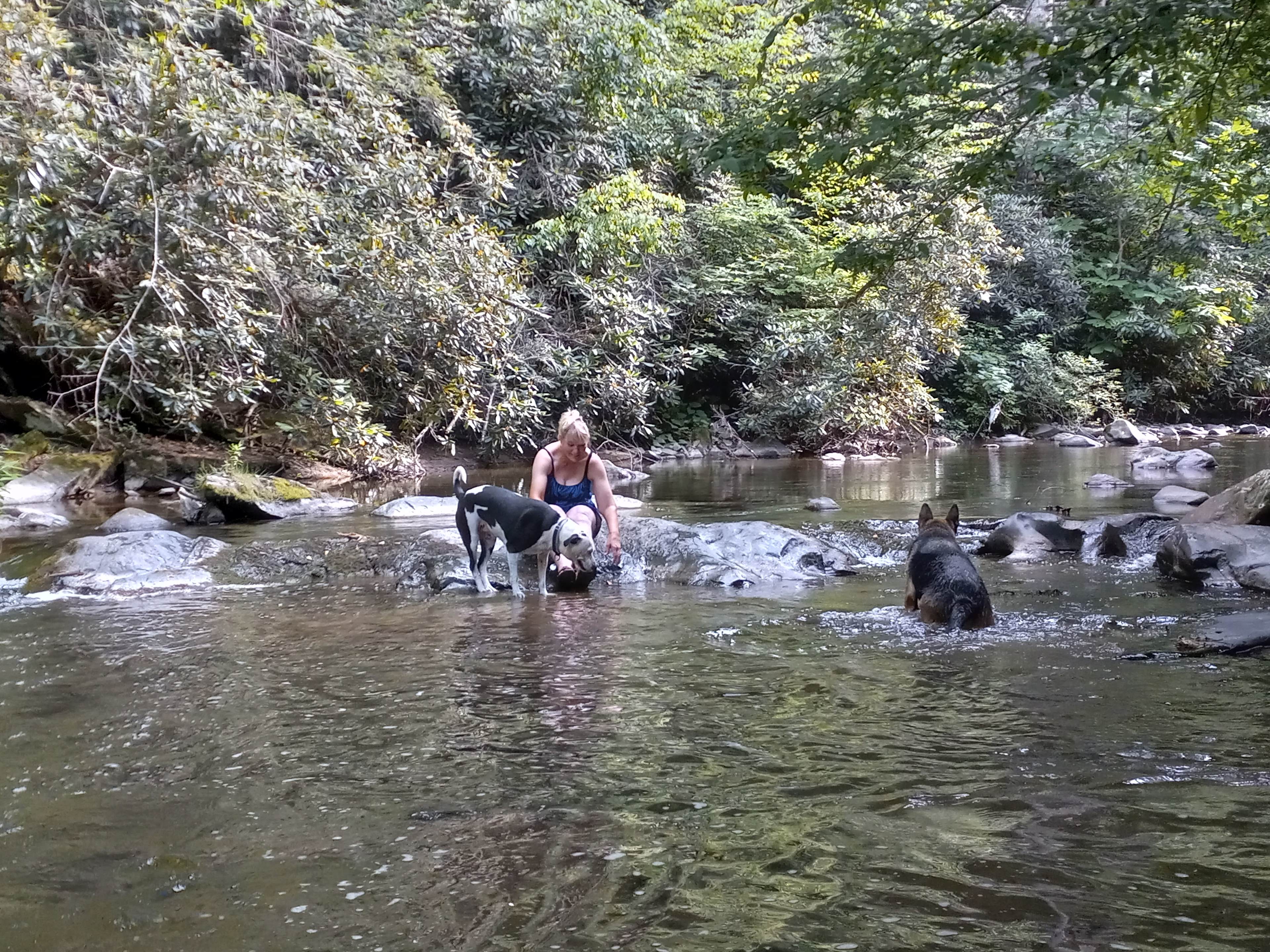Enjoying the creek on a hot day