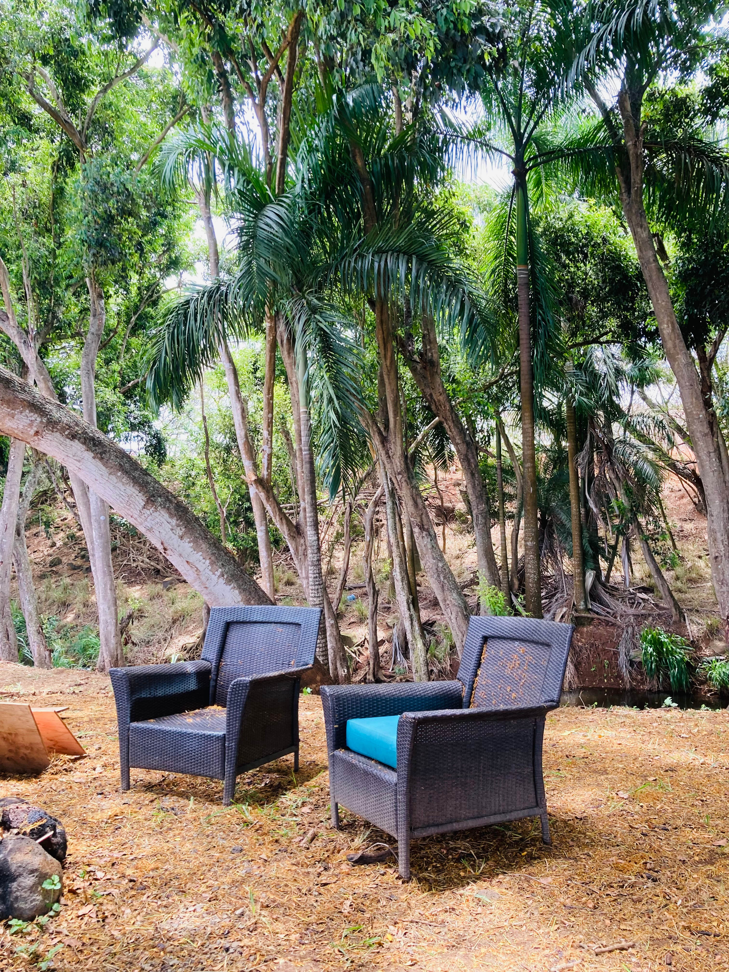 Experience Outdoor Life